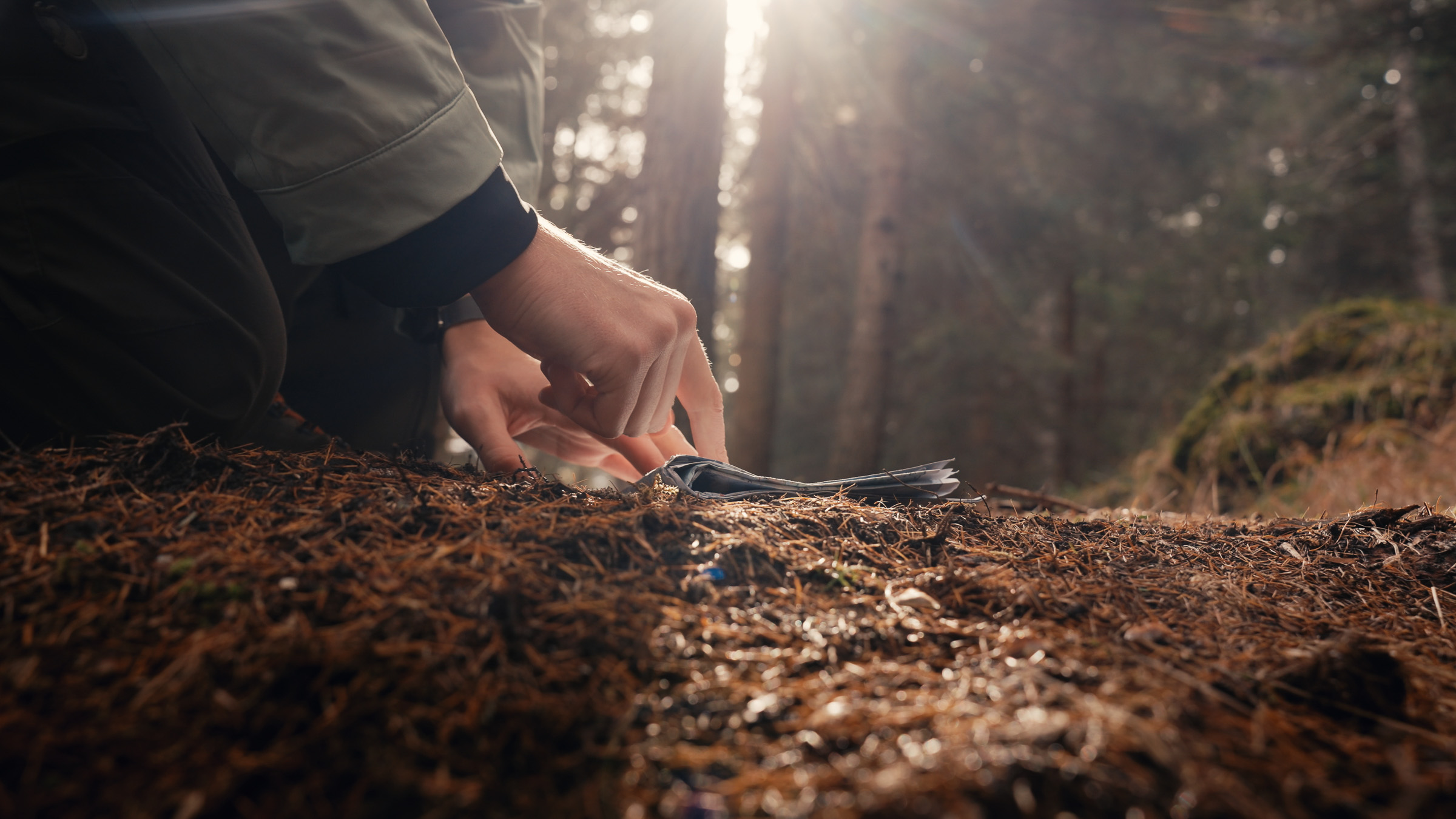 Hiker unfolding a map on the sunlit forest floor