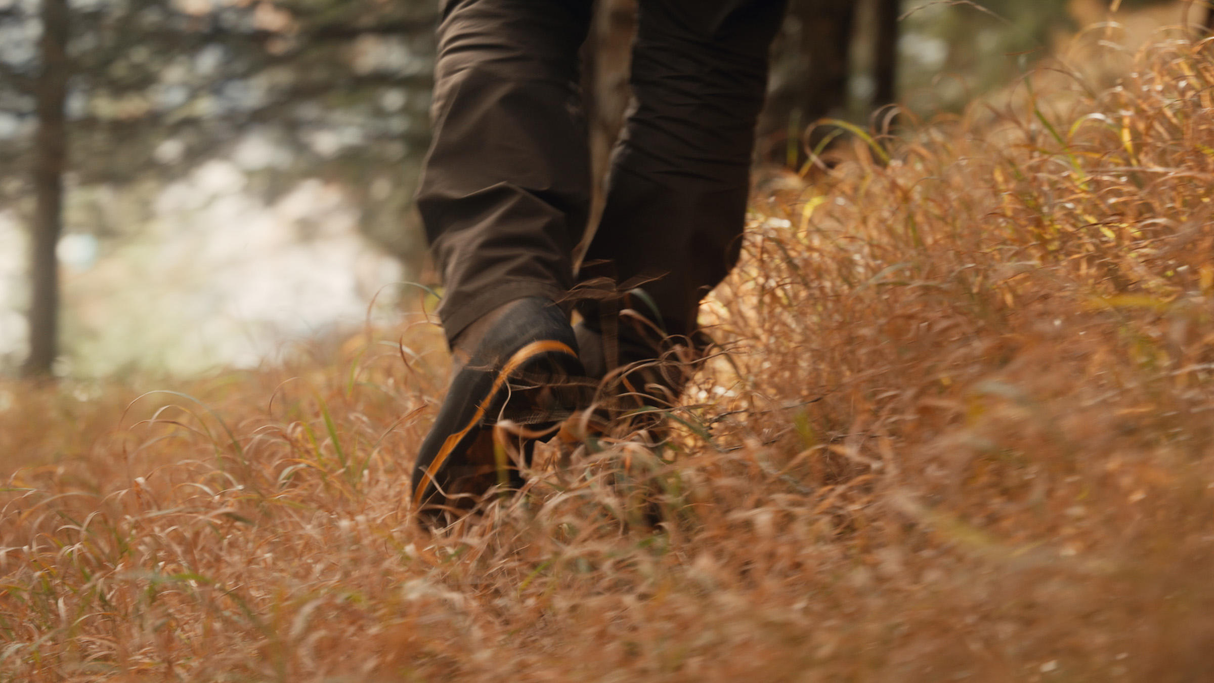 Hiker walking through sunlit autumn grass in the forest