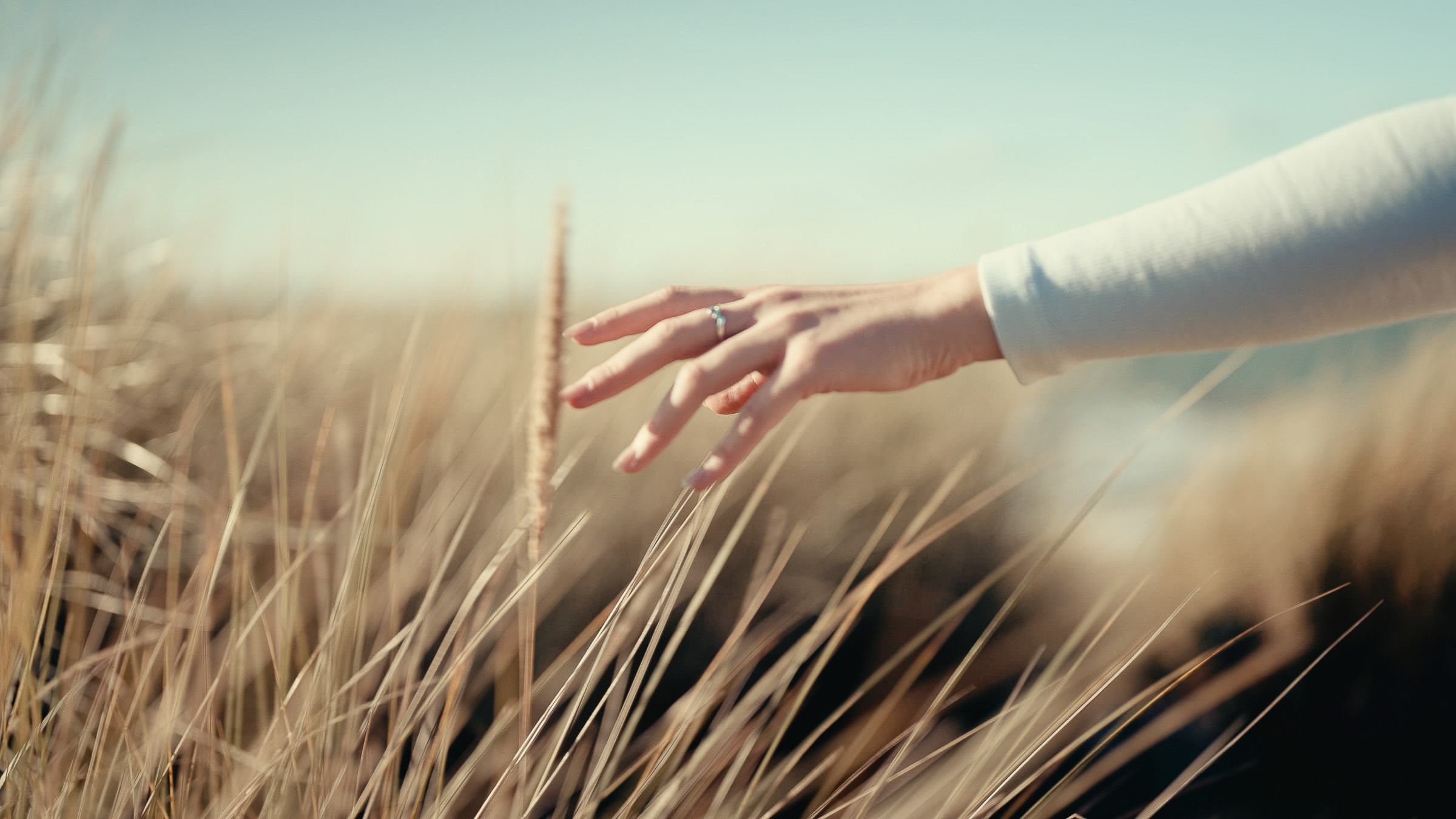 Hand brushing through tall dune grass in soft sunlight