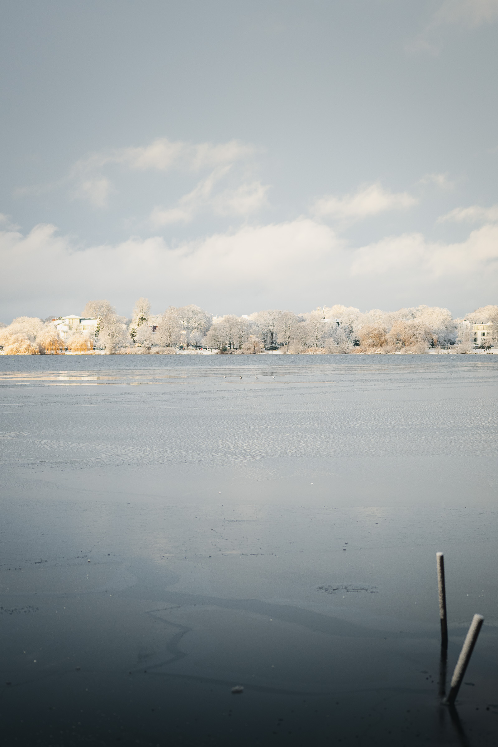 Snow-covered Alster lake and frosted trees in winter