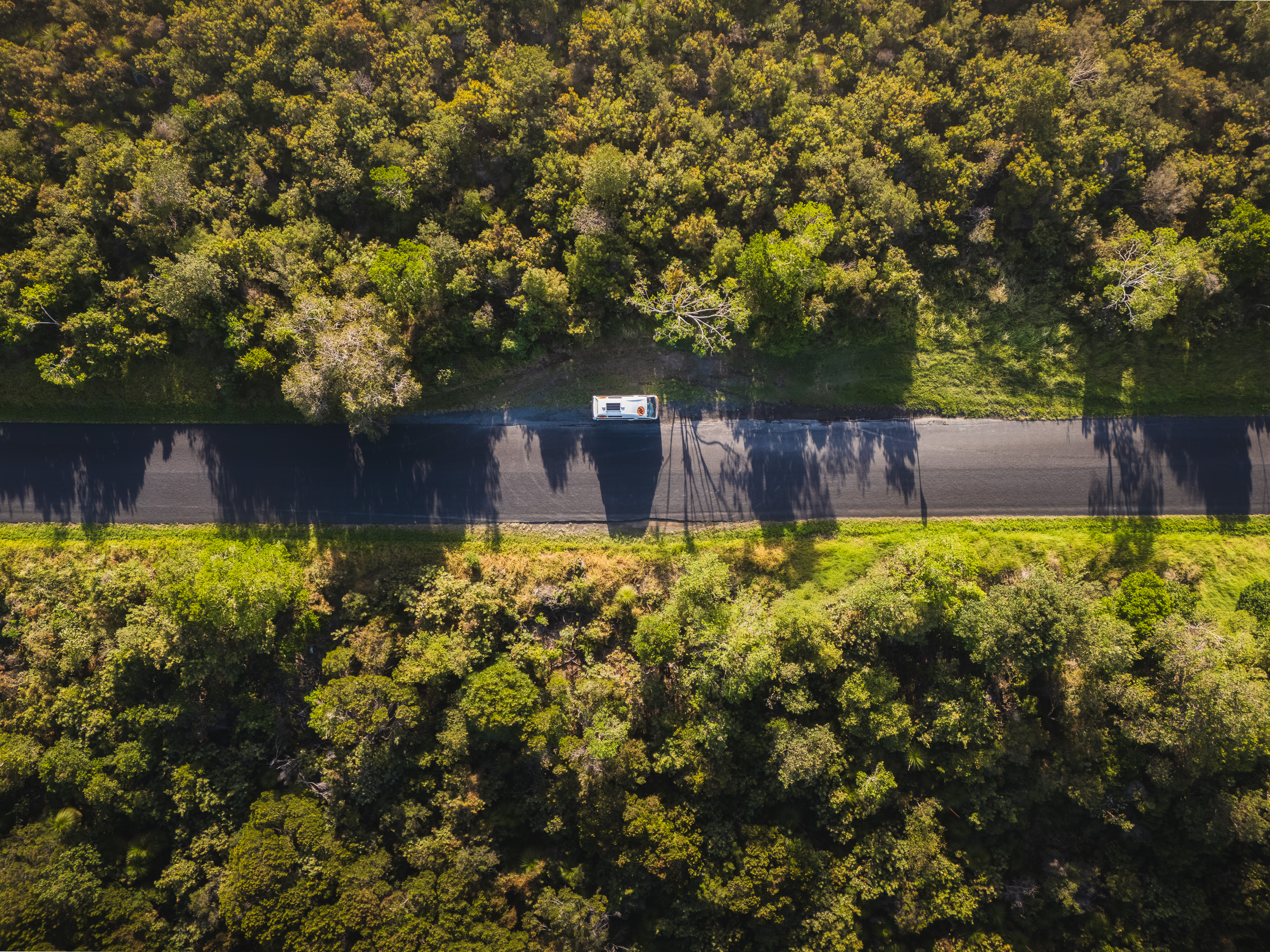 Top-down aerial view of a camper van driving through dense coastal forest