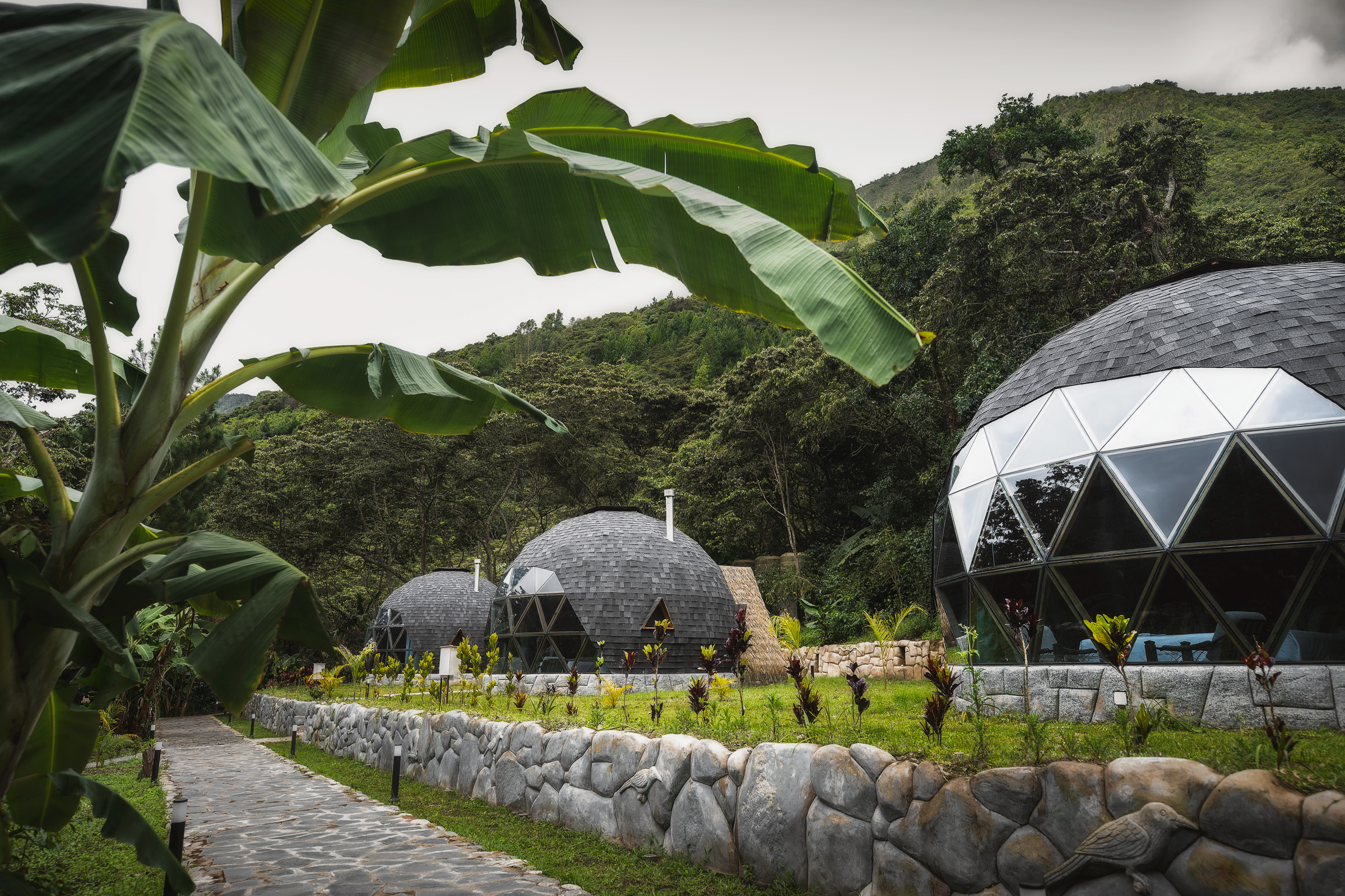 Geodesic trekking lodges surrounded by banana plants and green hills