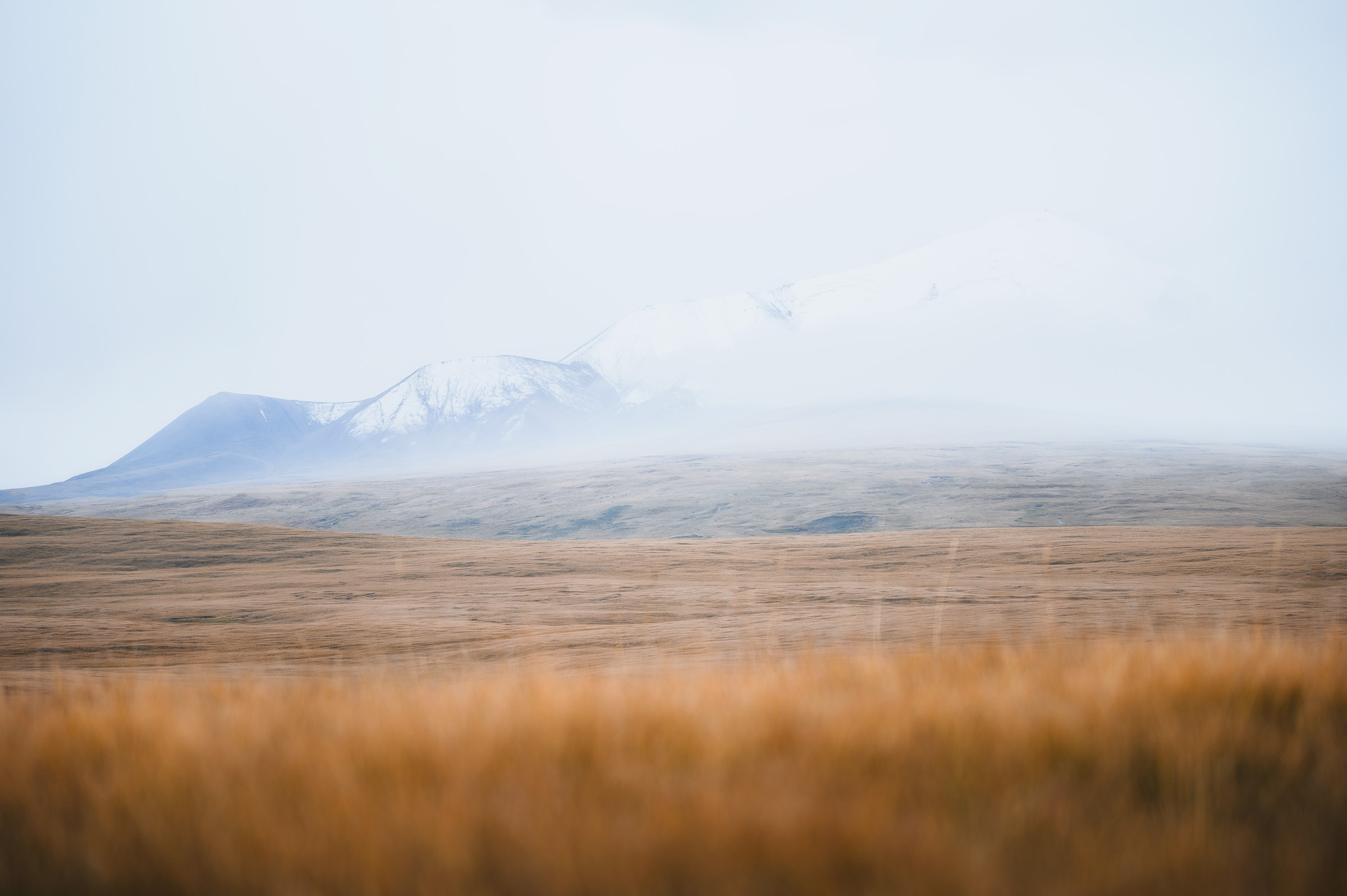 Foggy snow mountains rising above a golden highland plain