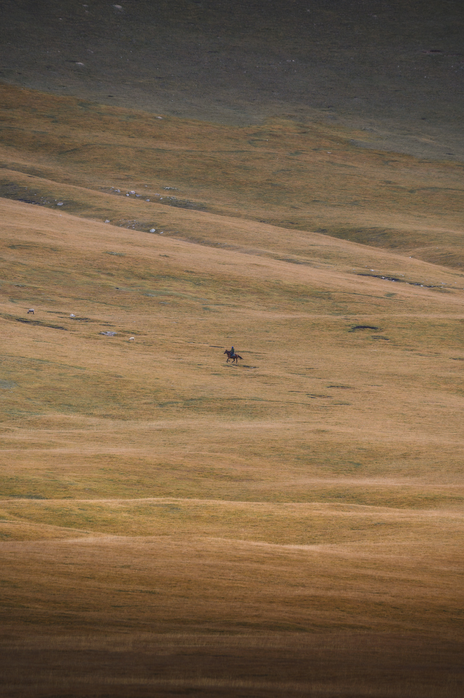 Distant horseman crossing an ochre mountain slope