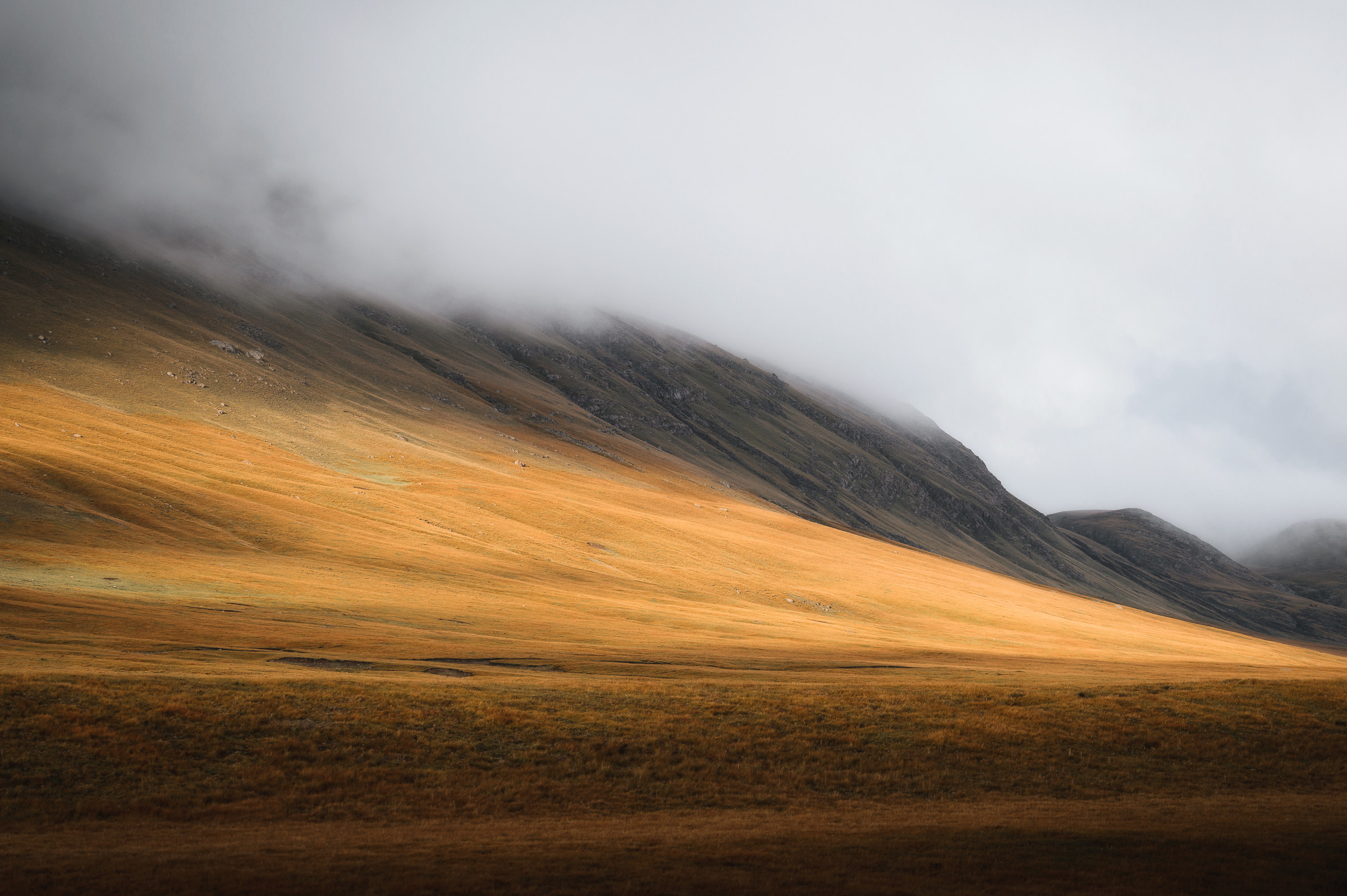 Sunlit golden slope beneath dark mountain clouds