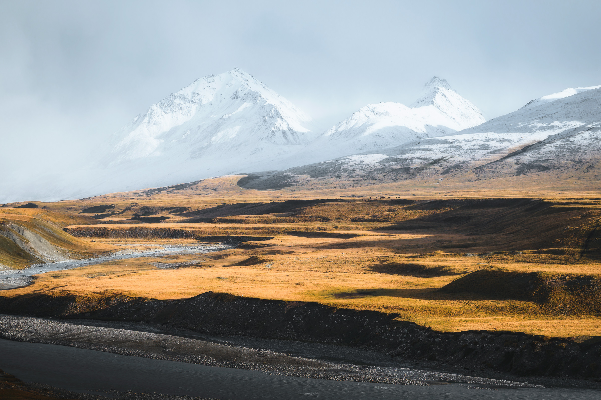 Snow-covered peaks beyond a golden highland valley