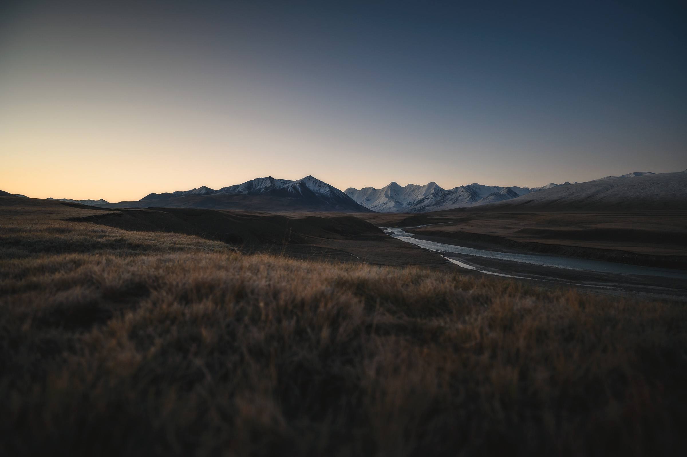 Mountain silhouettes emerging beyond grass at dawn