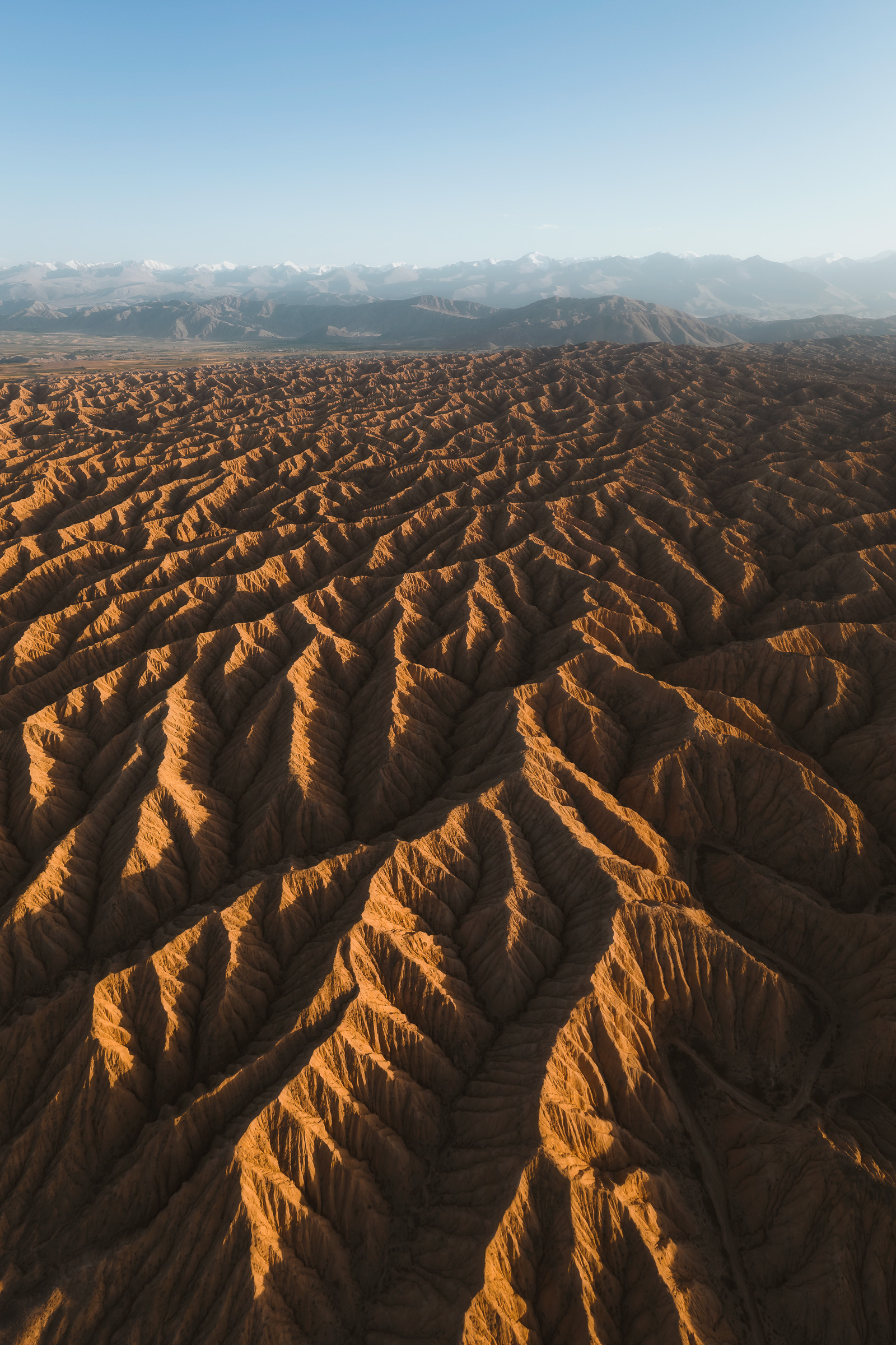 Deeply eroded badlands photographed from above in golden light