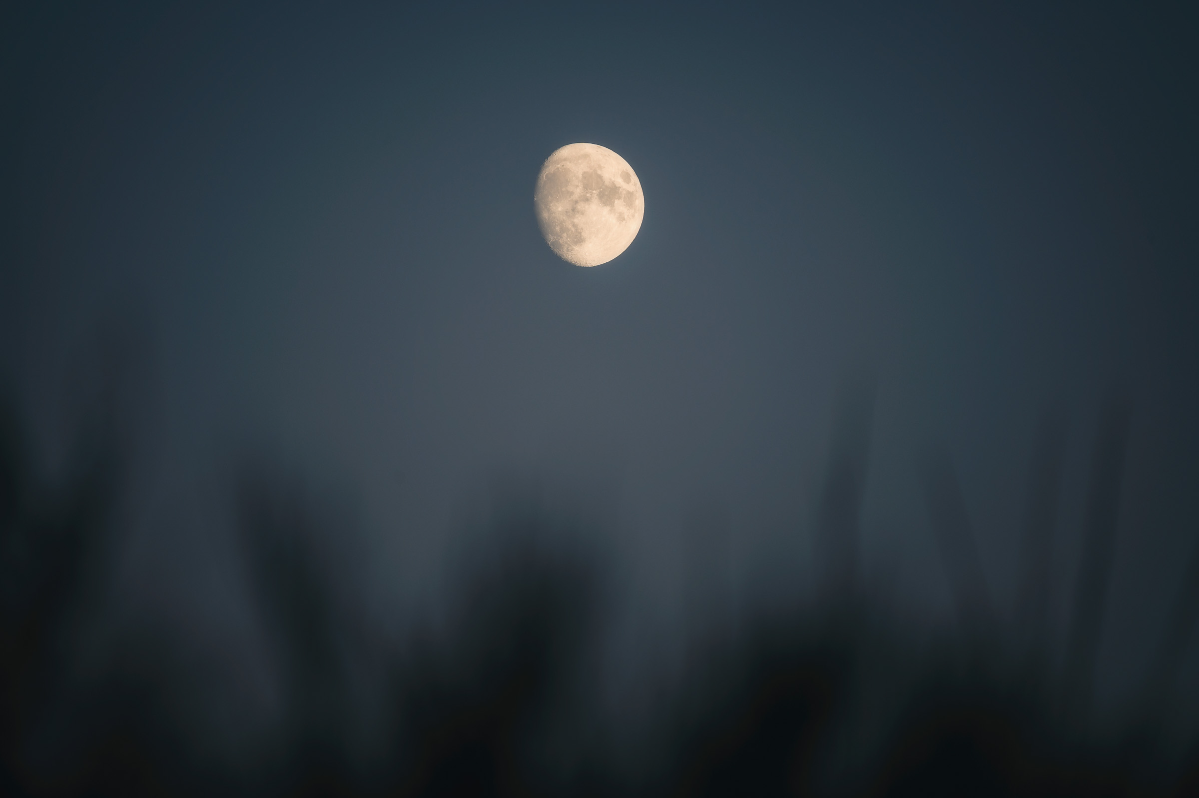 Full moon rising above softly blurred grasses