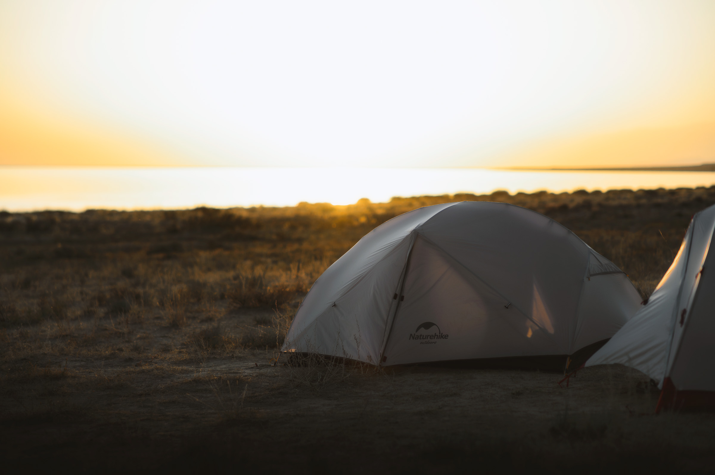 Tent glowing in golden dawn light on the steppe