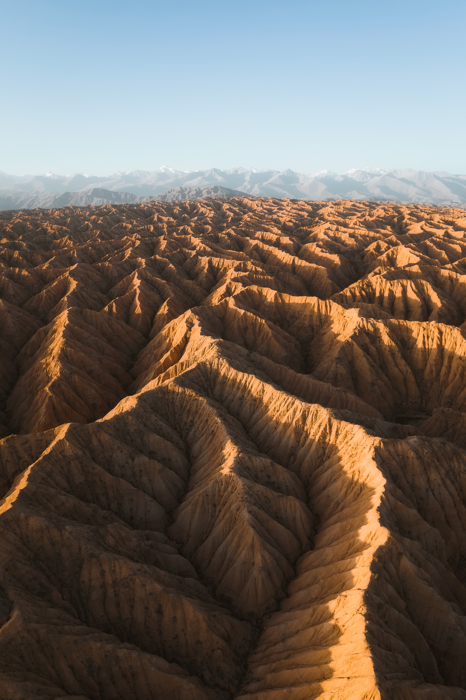 Golden badlands ridges stretching toward distant mountains