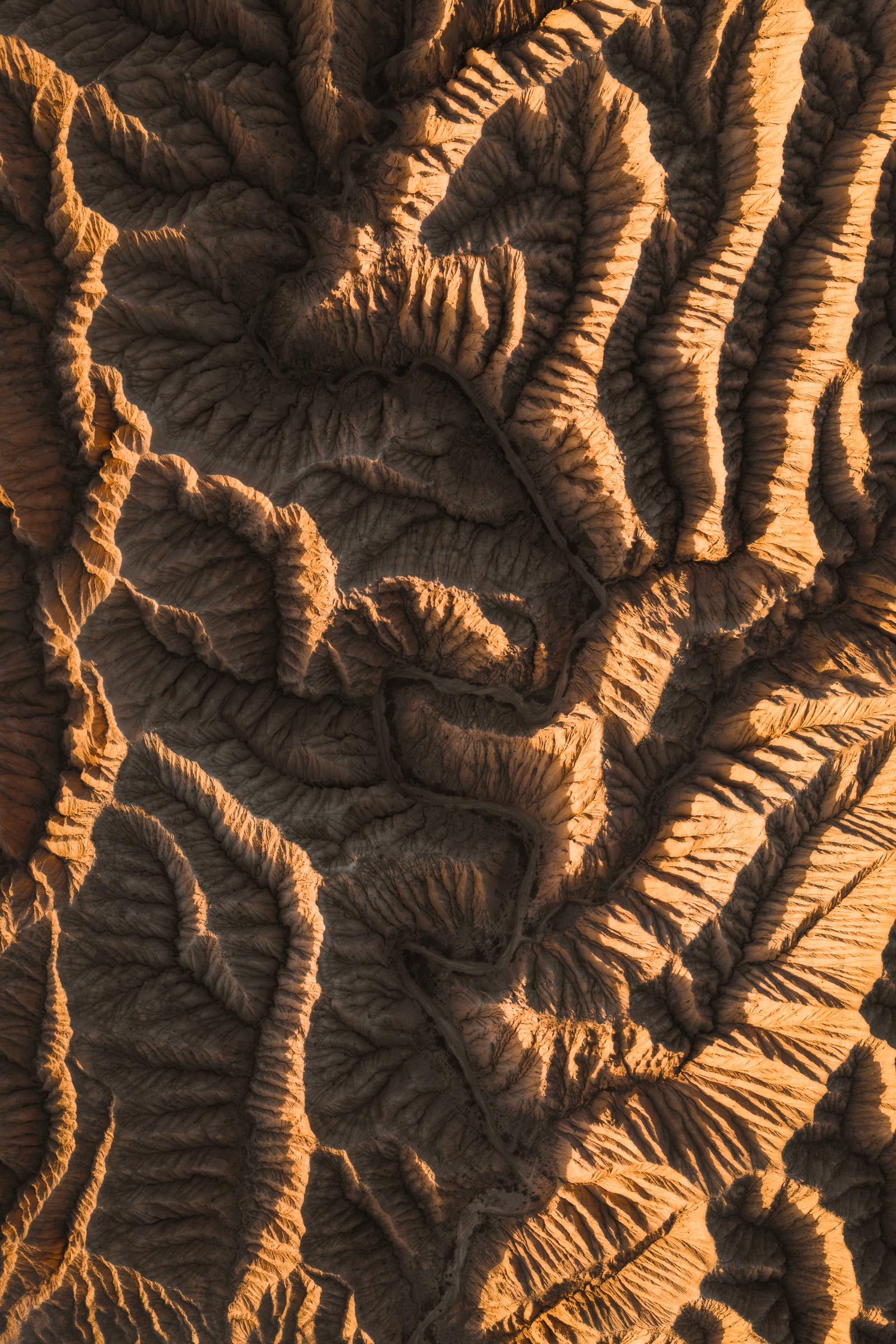 Close aerial view of sculpted folds in the badlands