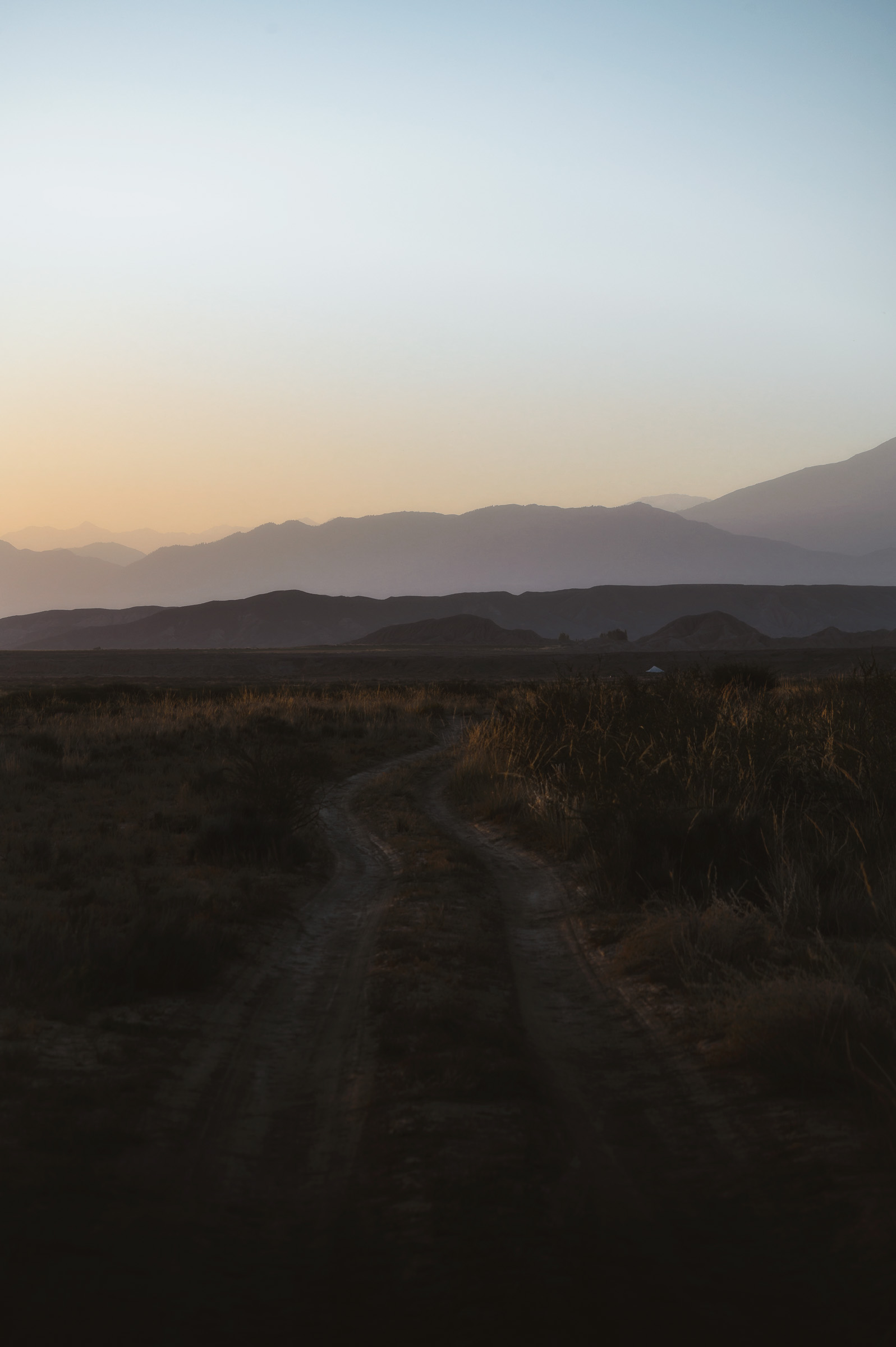 Rough vehicle track crossing the open steppe at dusk