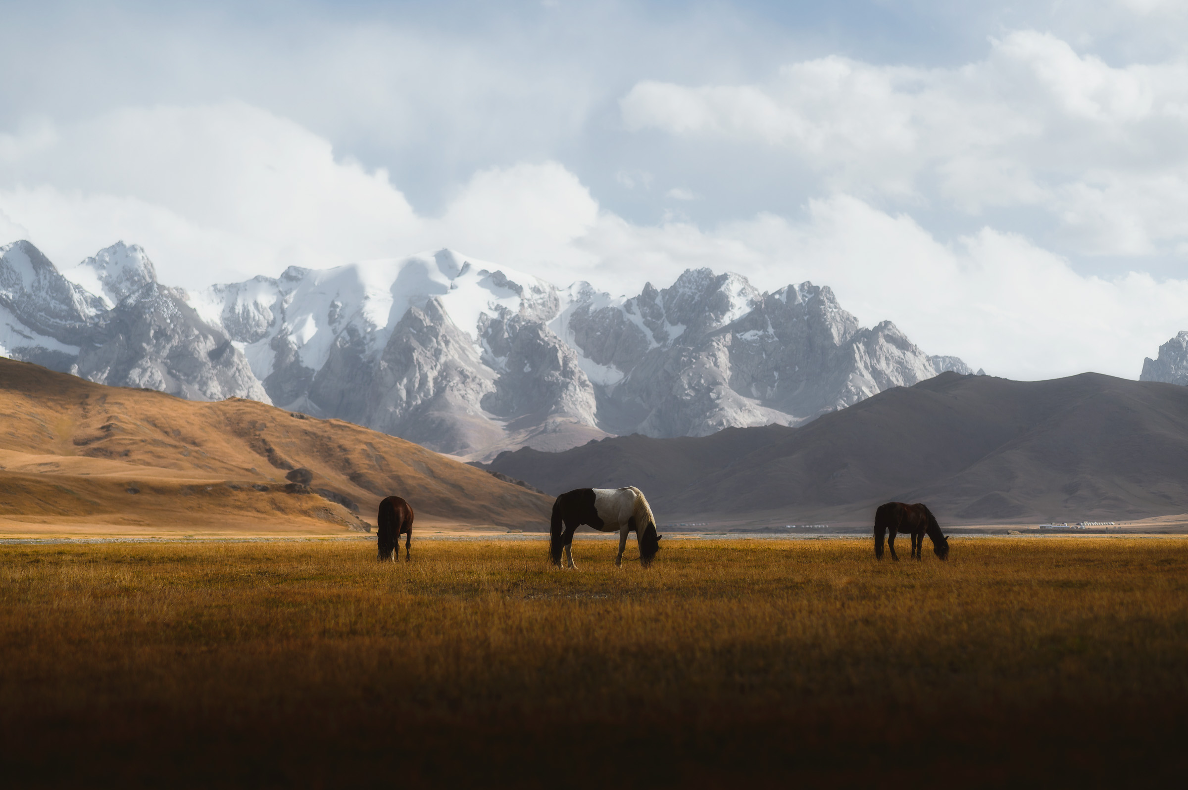 Horses grazing beneath jagged snow-covered mountains