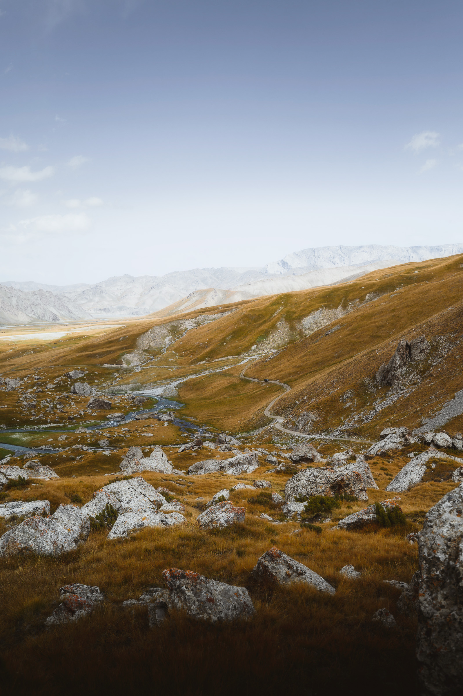 Alpine tundra stretching toward a snow-capped horizon