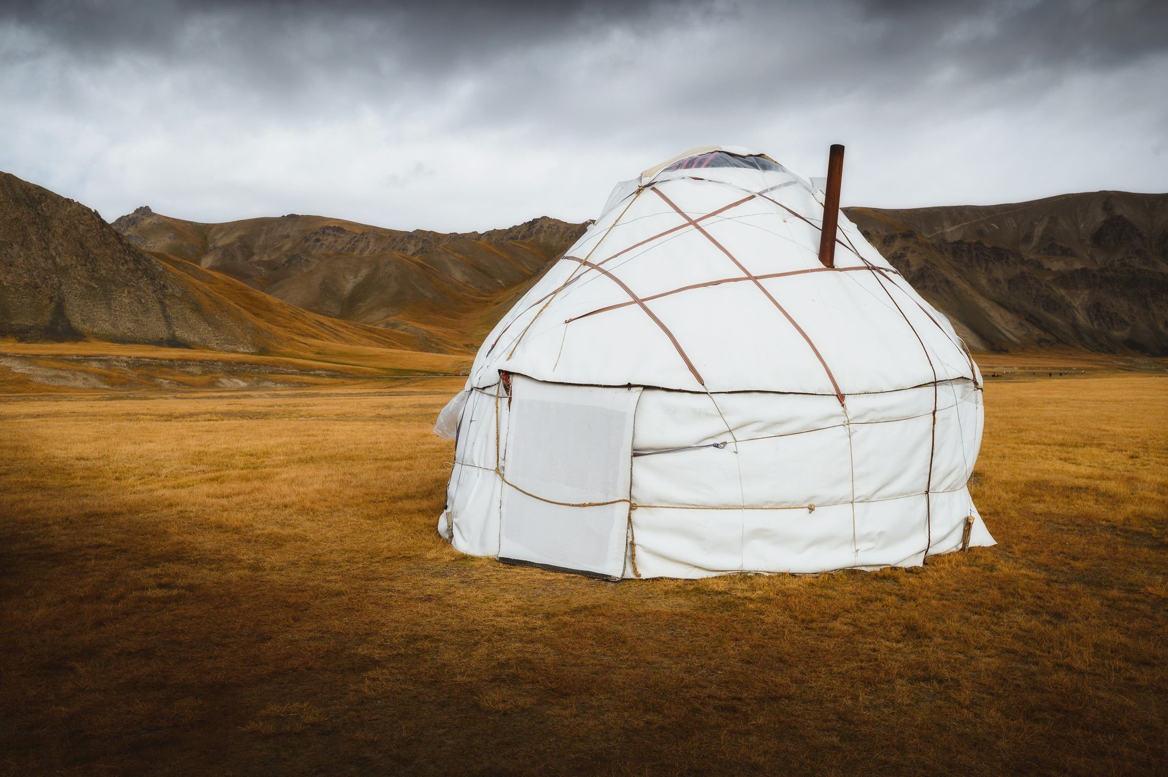 White yurt standing in a golden highland valley