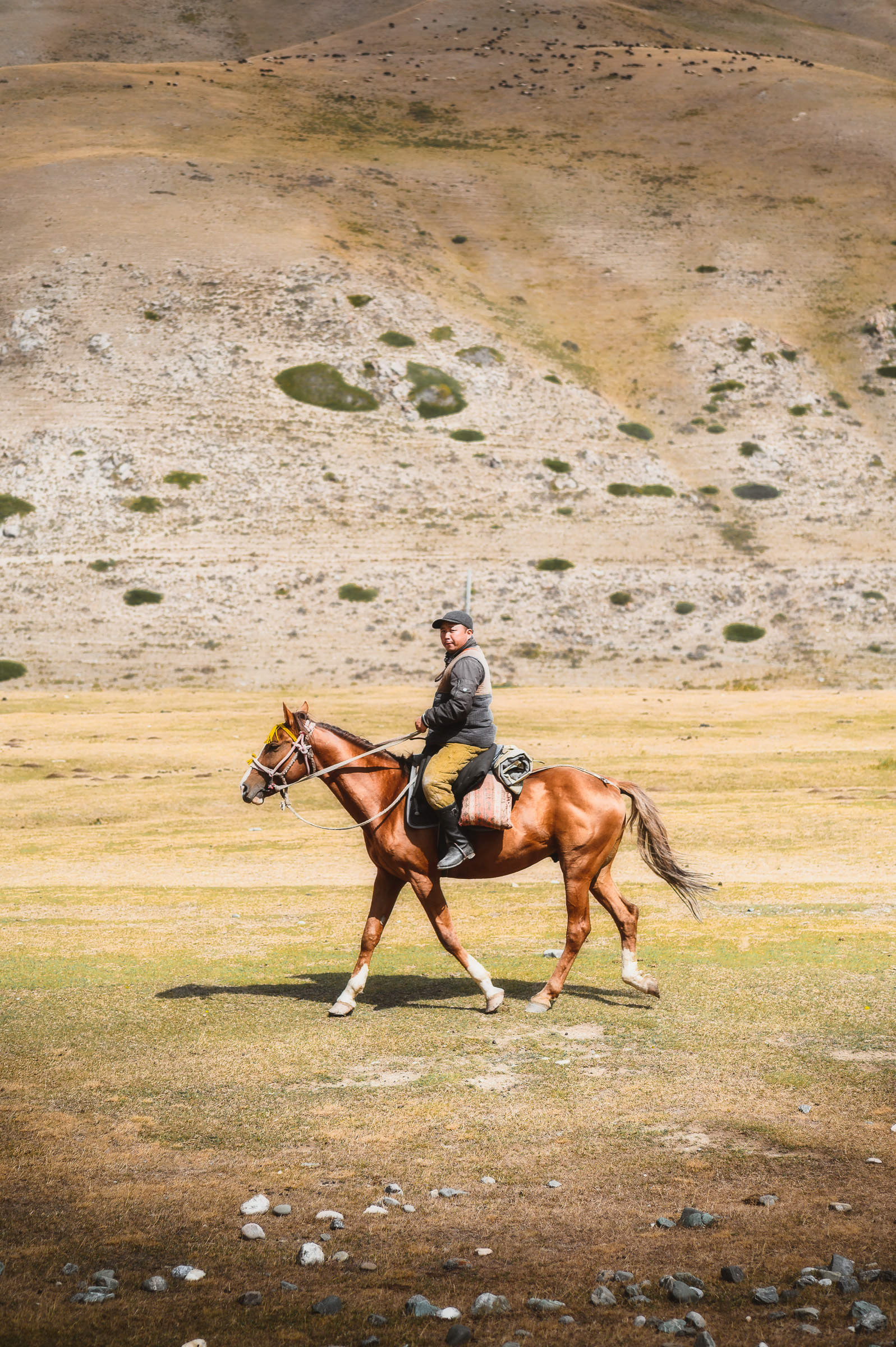 Horseman crossing open grassland beneath barren hills