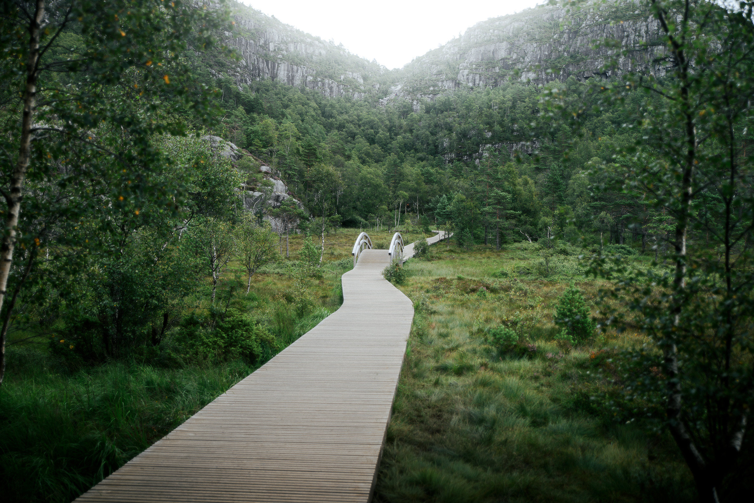 Two hikers follow a wooden boardwalk through lush forest in Southern Norway
