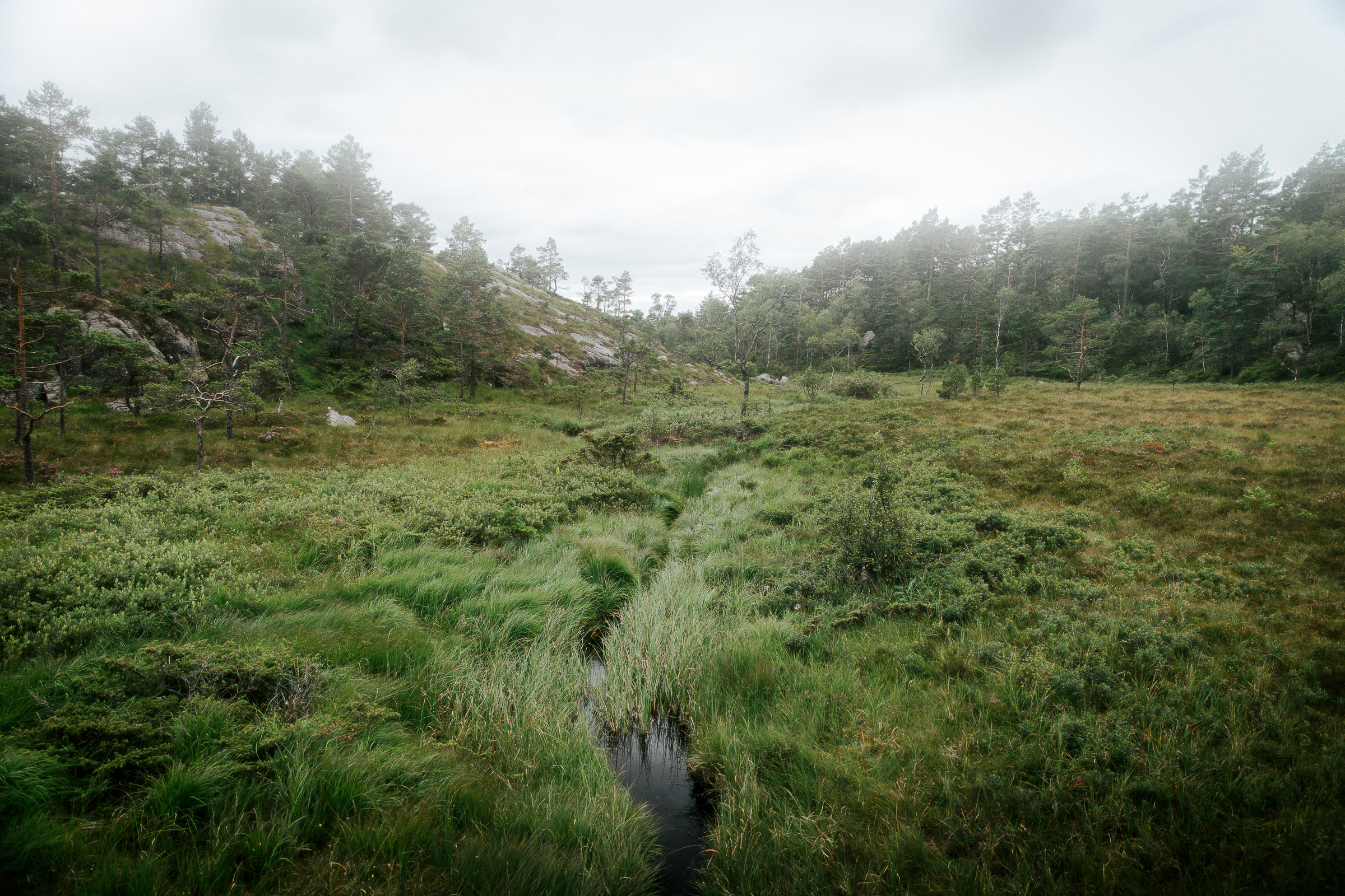 Misty marshland and rocky hills along the Preikestolen trail