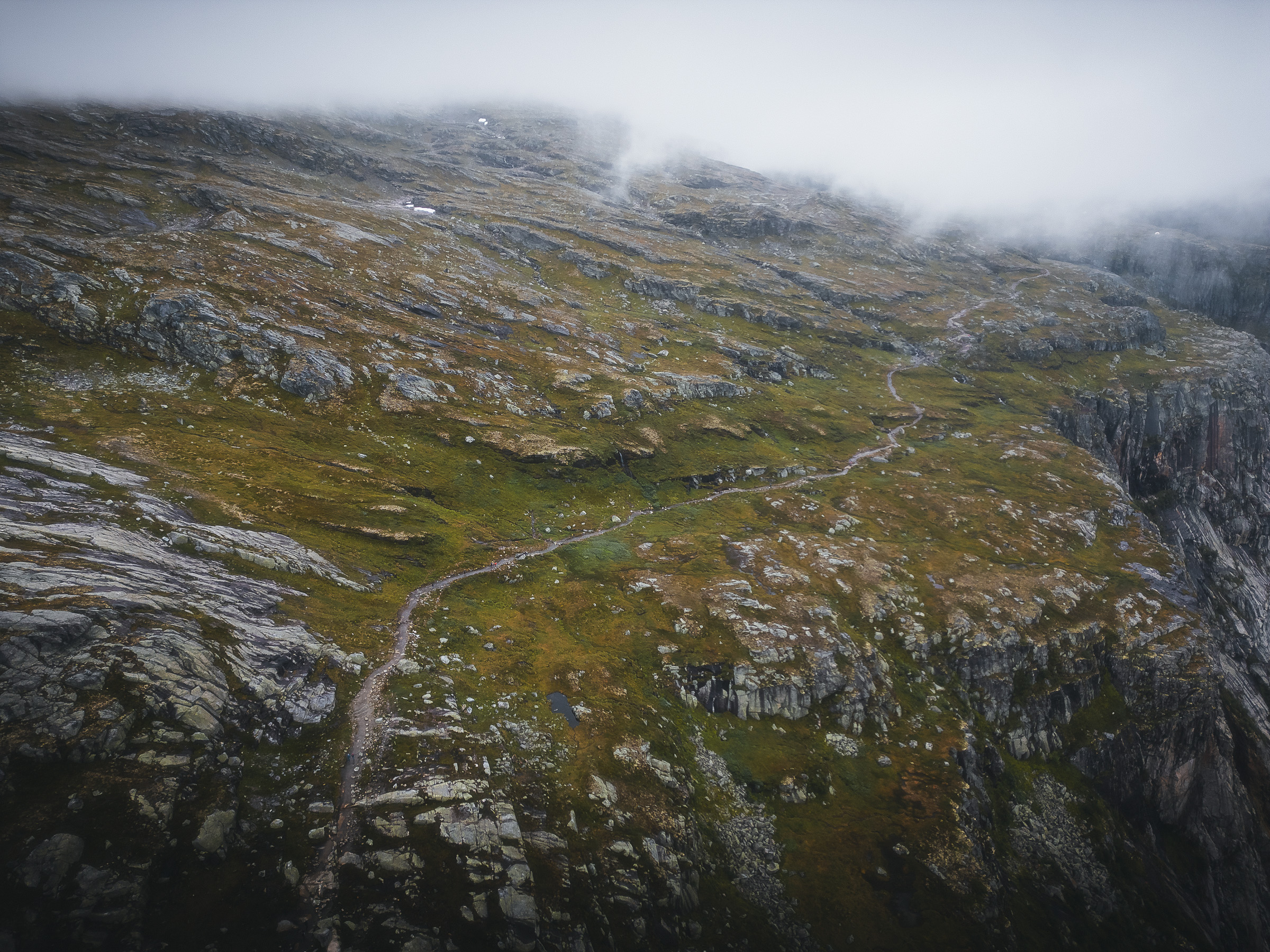 Narrow trail climbing mossy slopes toward low clouds