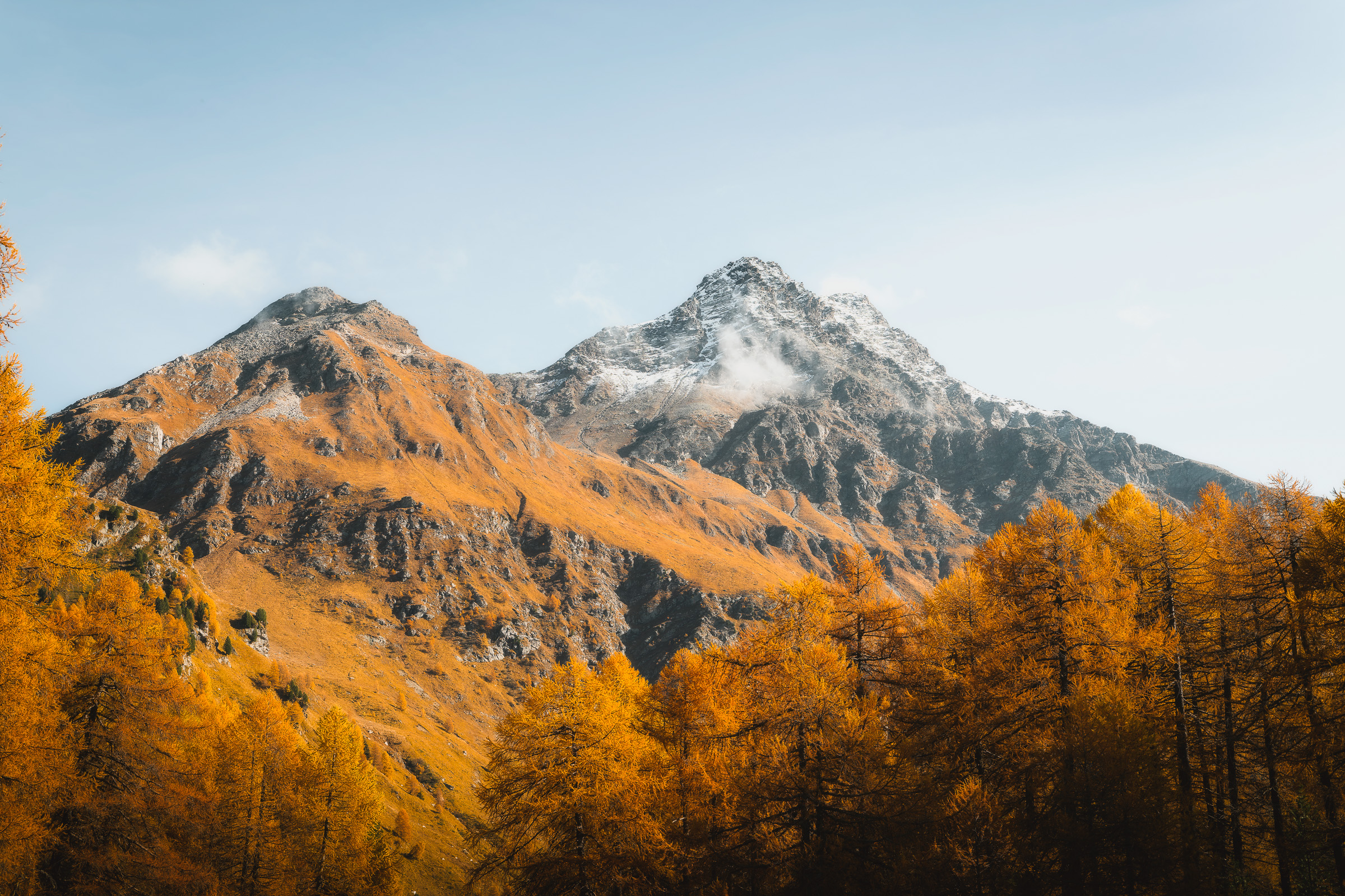 Golden larches beneath rocky, snow-dusted peaks in the Swiss Alps