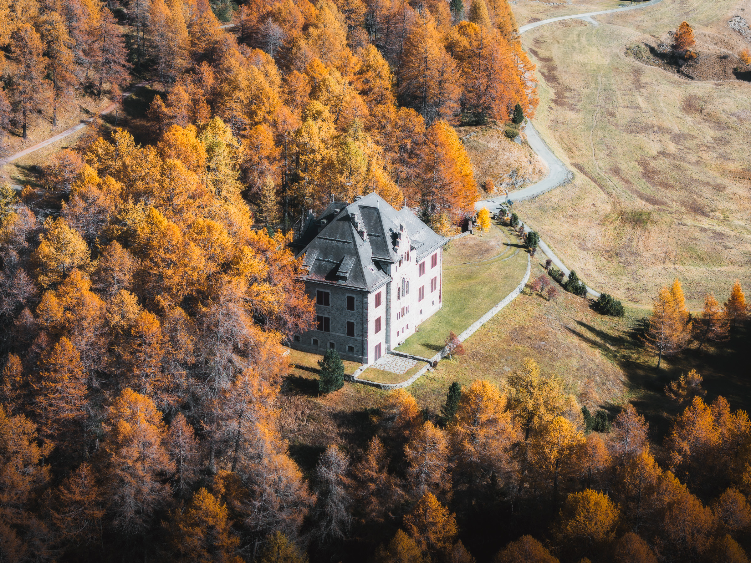 White alpine building surrounded by golden larches