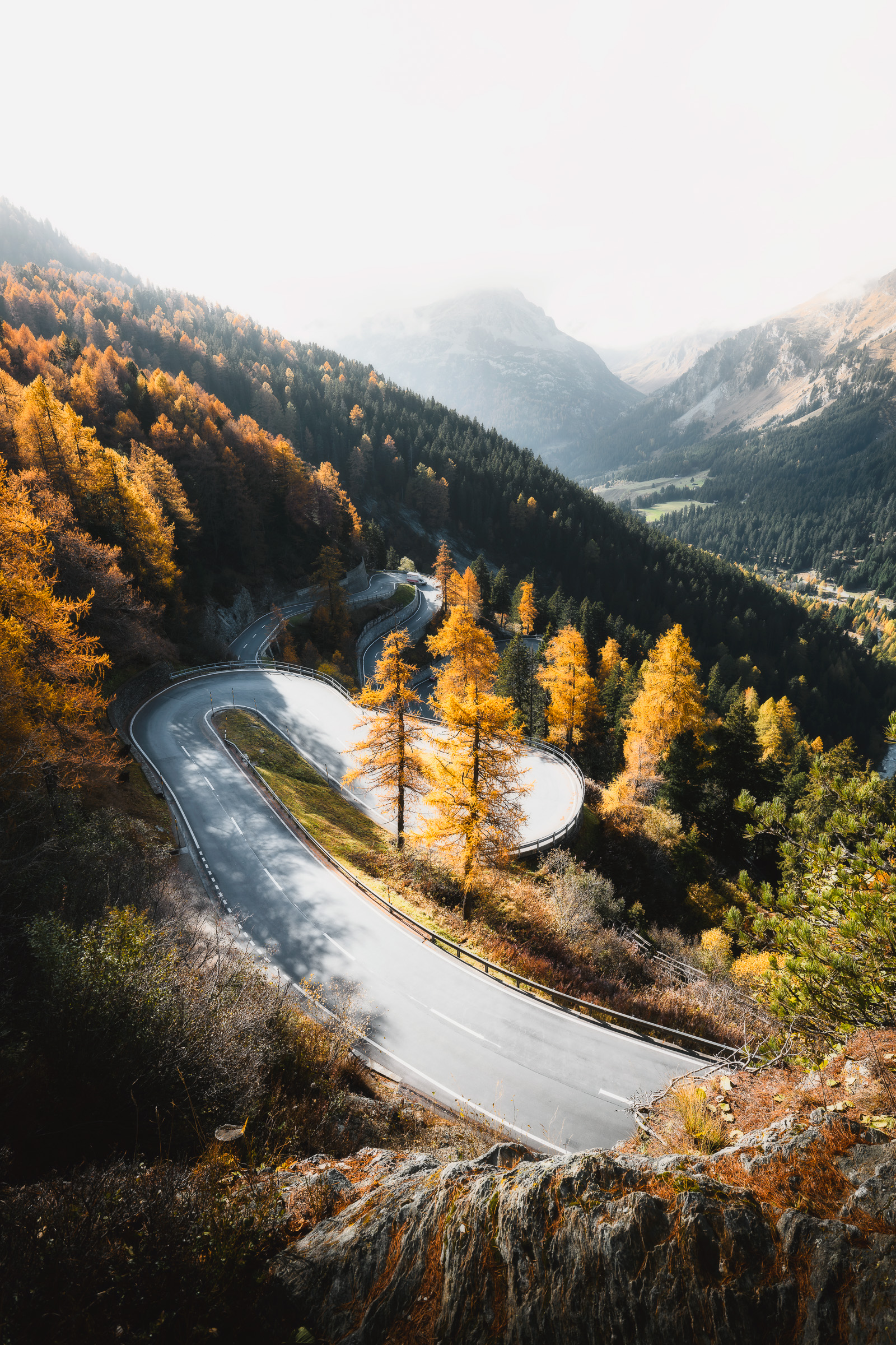 Hairpin bend surrounded by golden larches on a steep slope