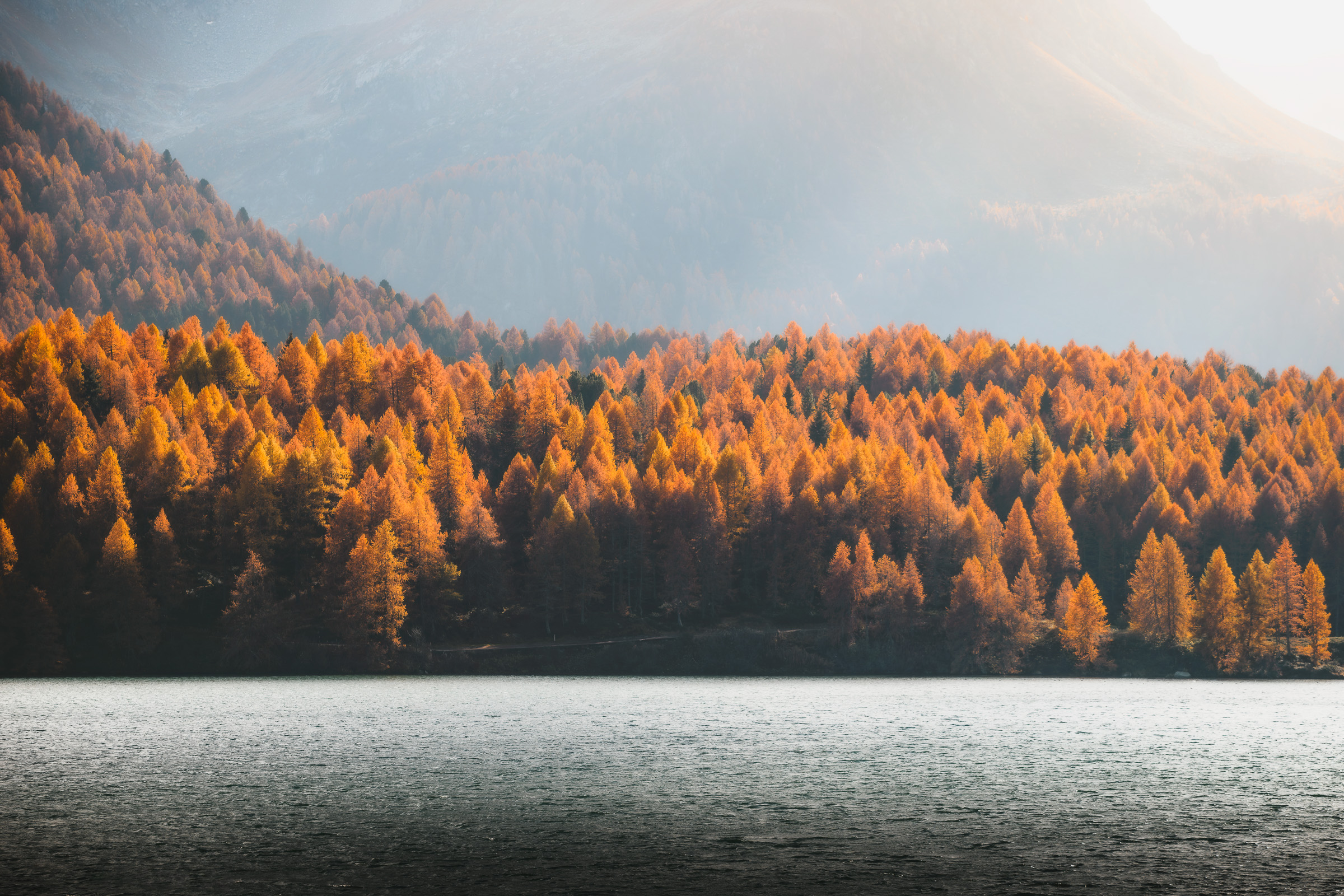Sunlit larches along a lake beneath misty mountains