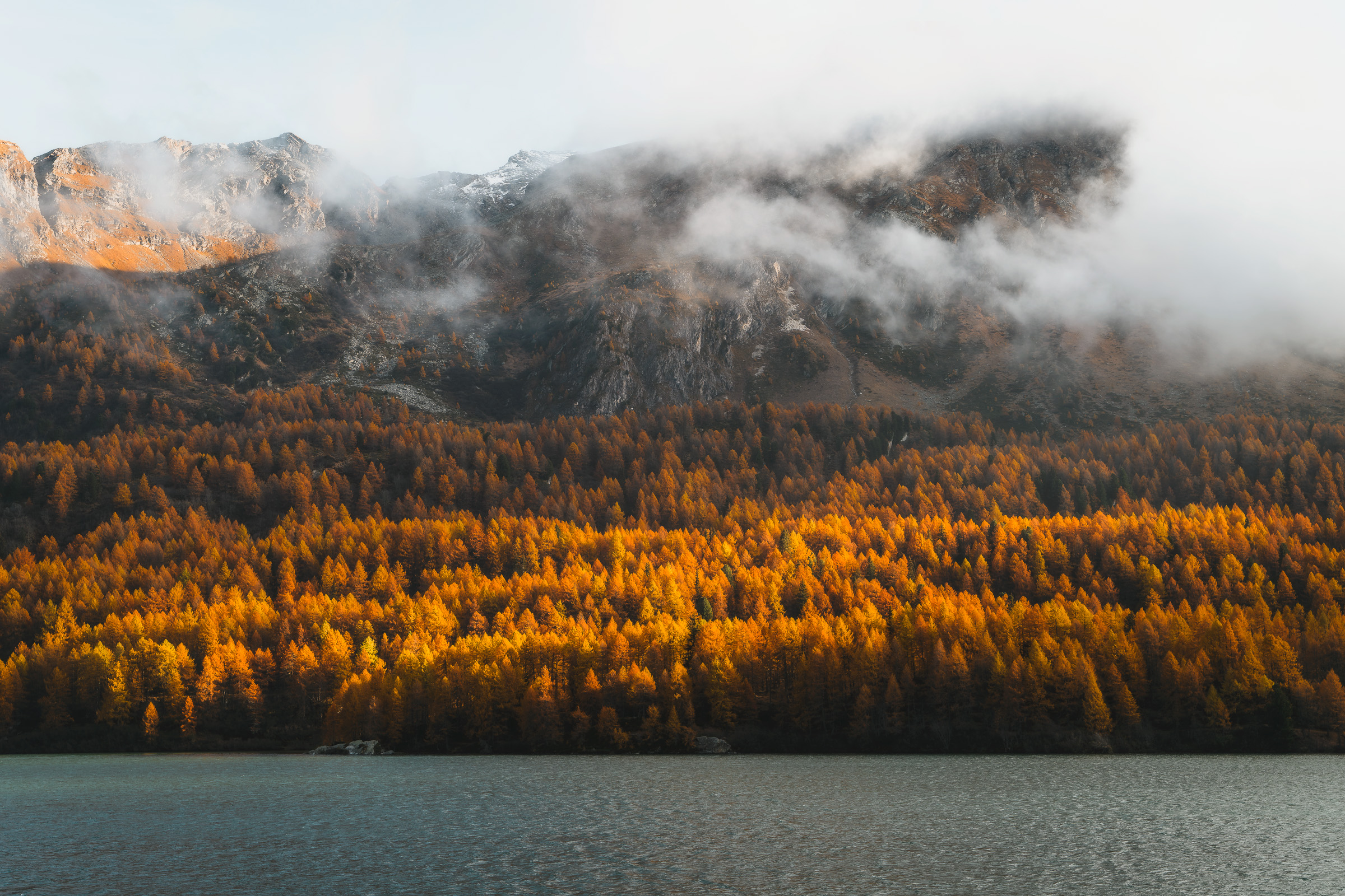 Golden larch forest beneath low clouds across an alpine lake
