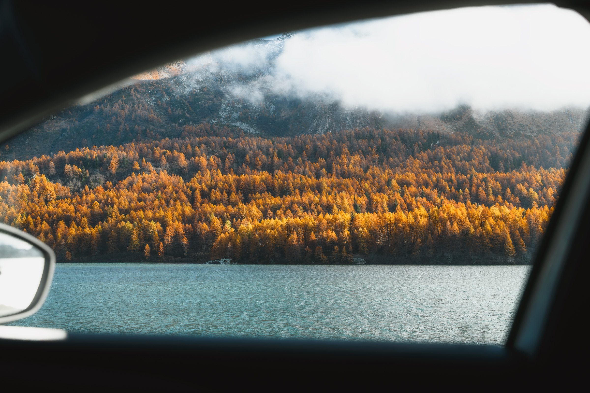 Autumn larches beside a lake seen through a car window