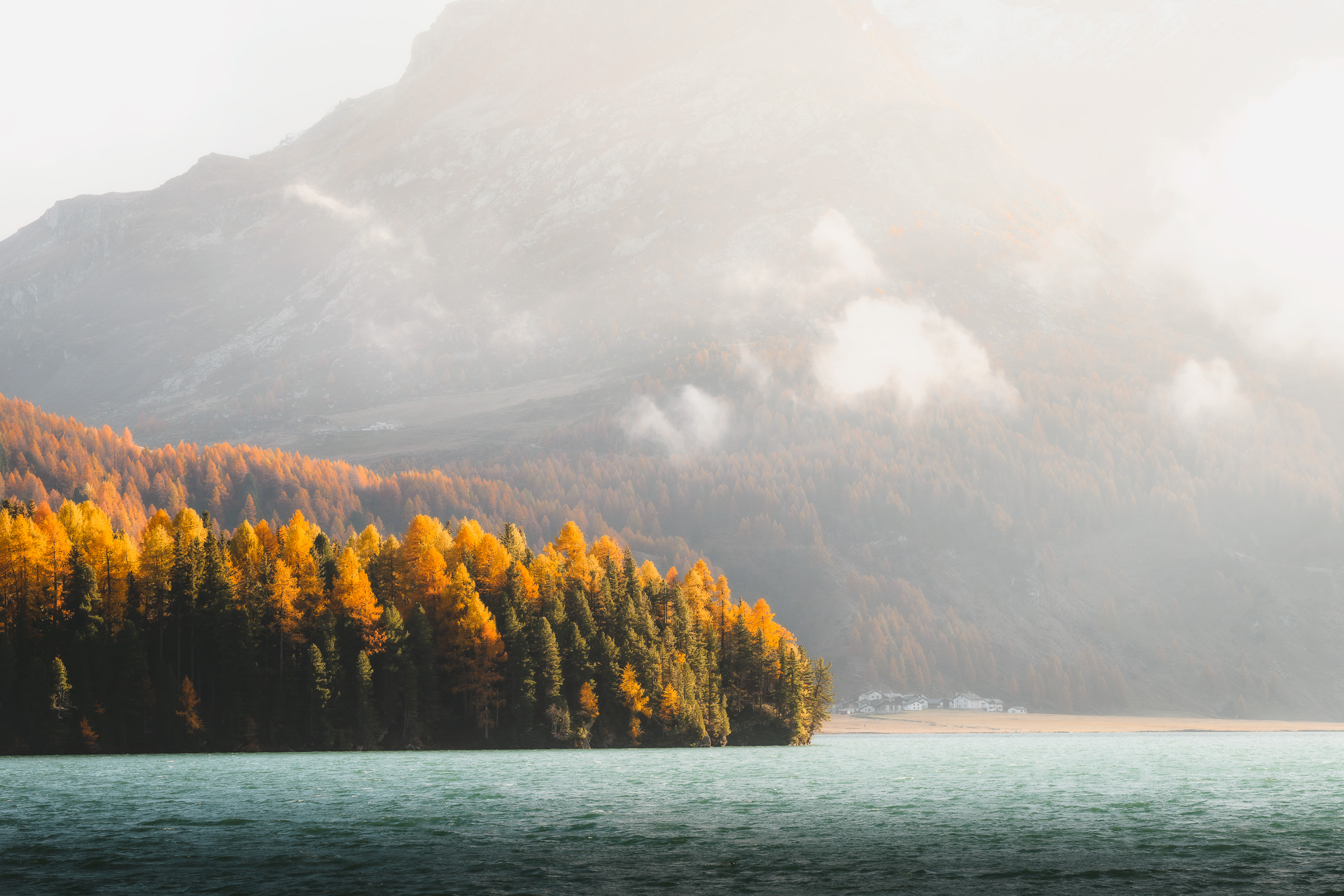 Sunlight illuminating larches beside a turquoise alpine lake