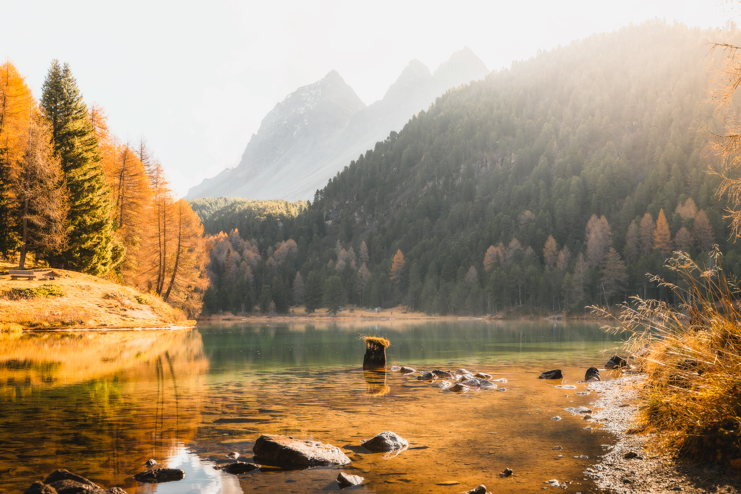 Clear alpine lake surrounded by larches and jagged peaks