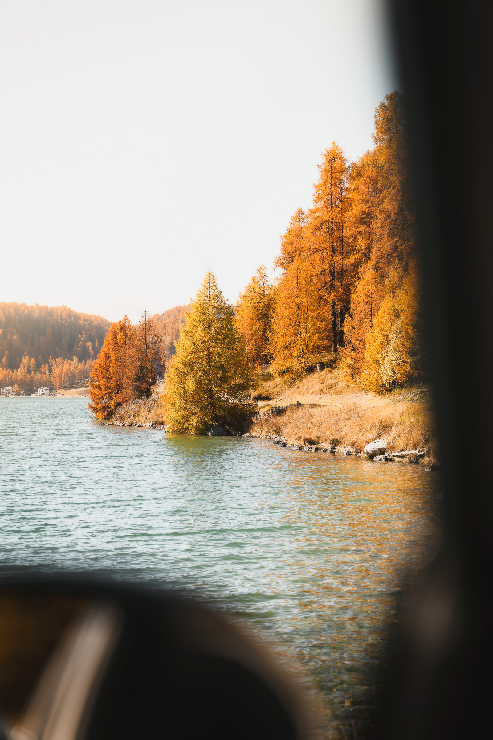 Autumn lake and larches seen through a car window