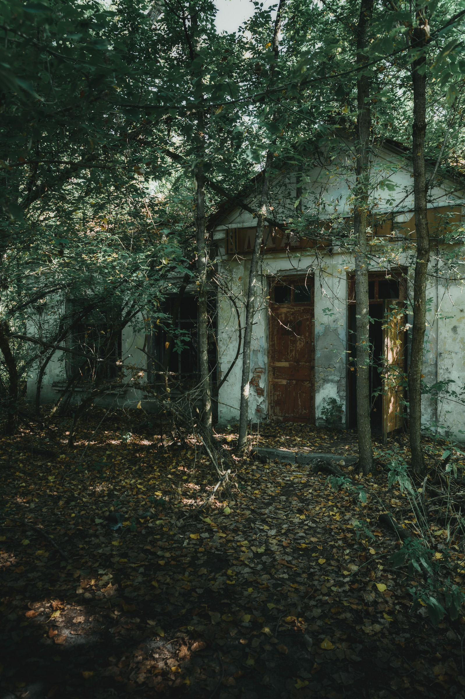 Overgrown entrance to an abandoned building in the Chernobyl Exclusion Zone