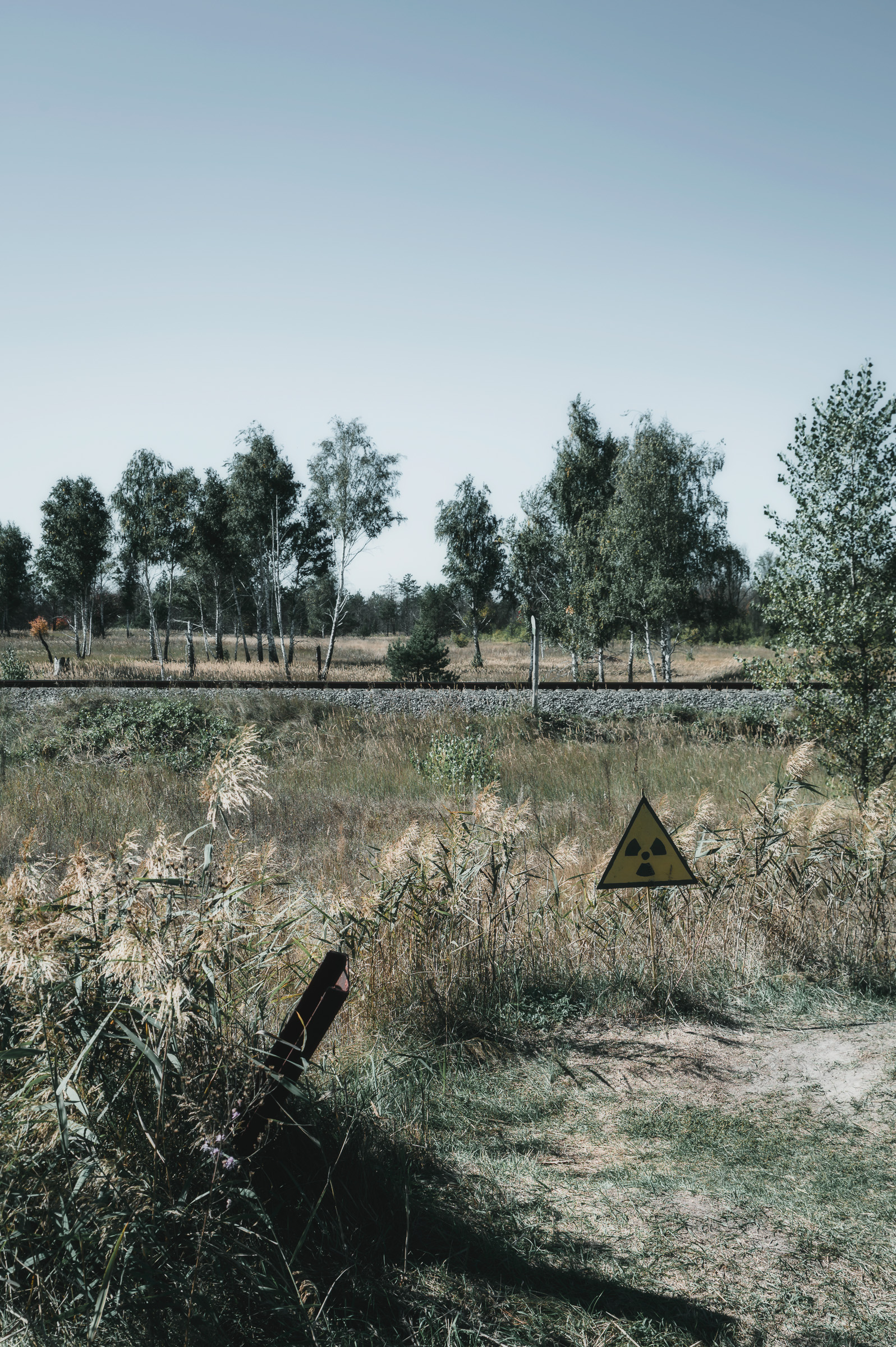 Radiation warning sign in an overgrown field