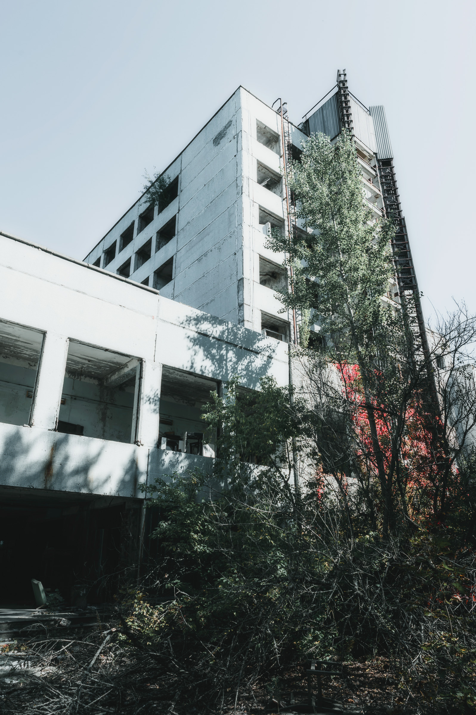 Abandoned apartment tower rising above dense trees