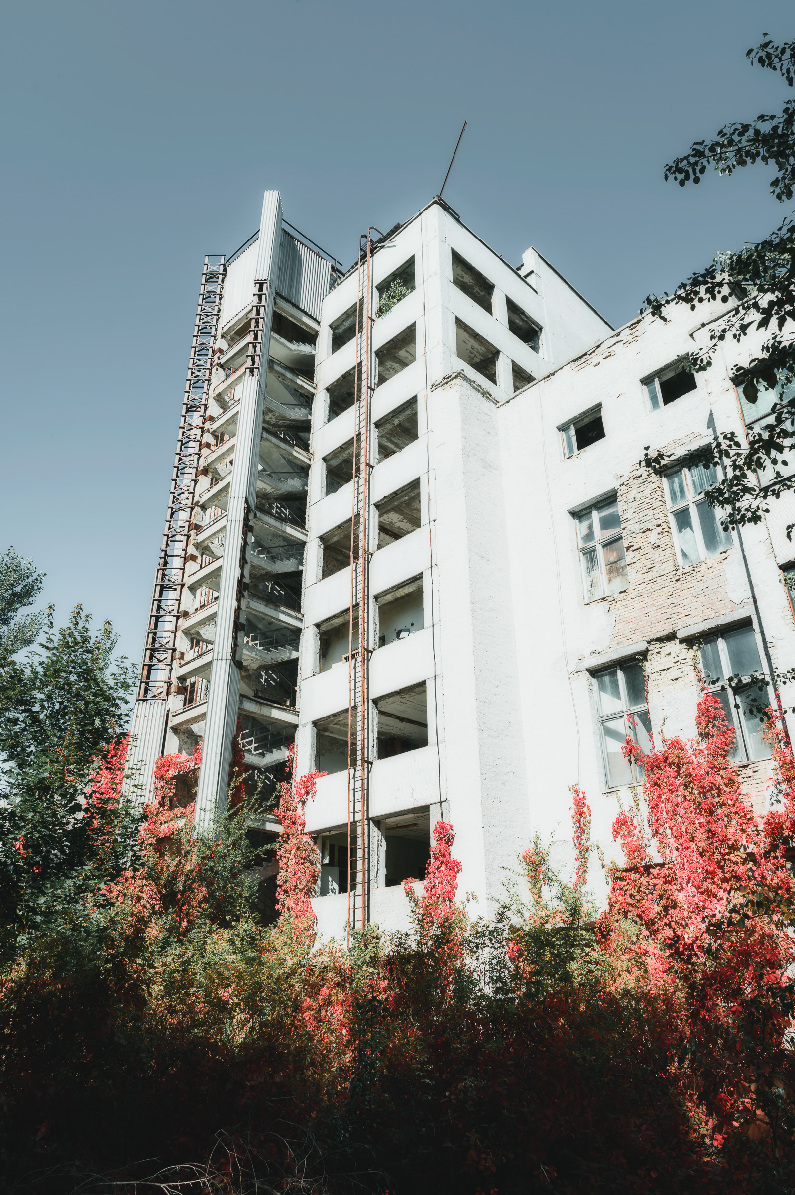 Abandoned high-rise framed by red autumn foliage