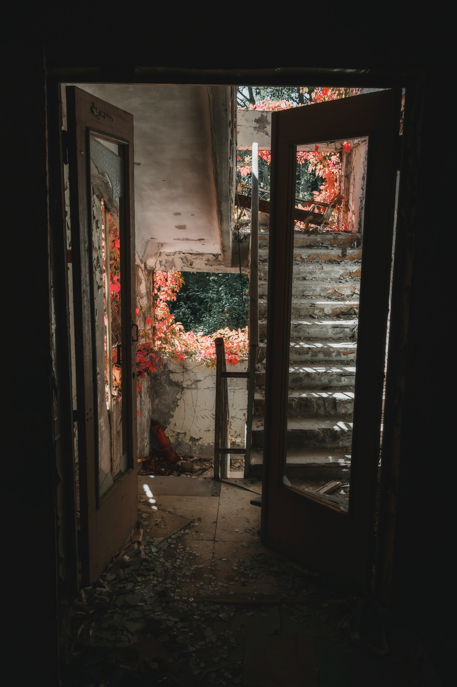 Overgrown doorway glowing with red autumn foliage