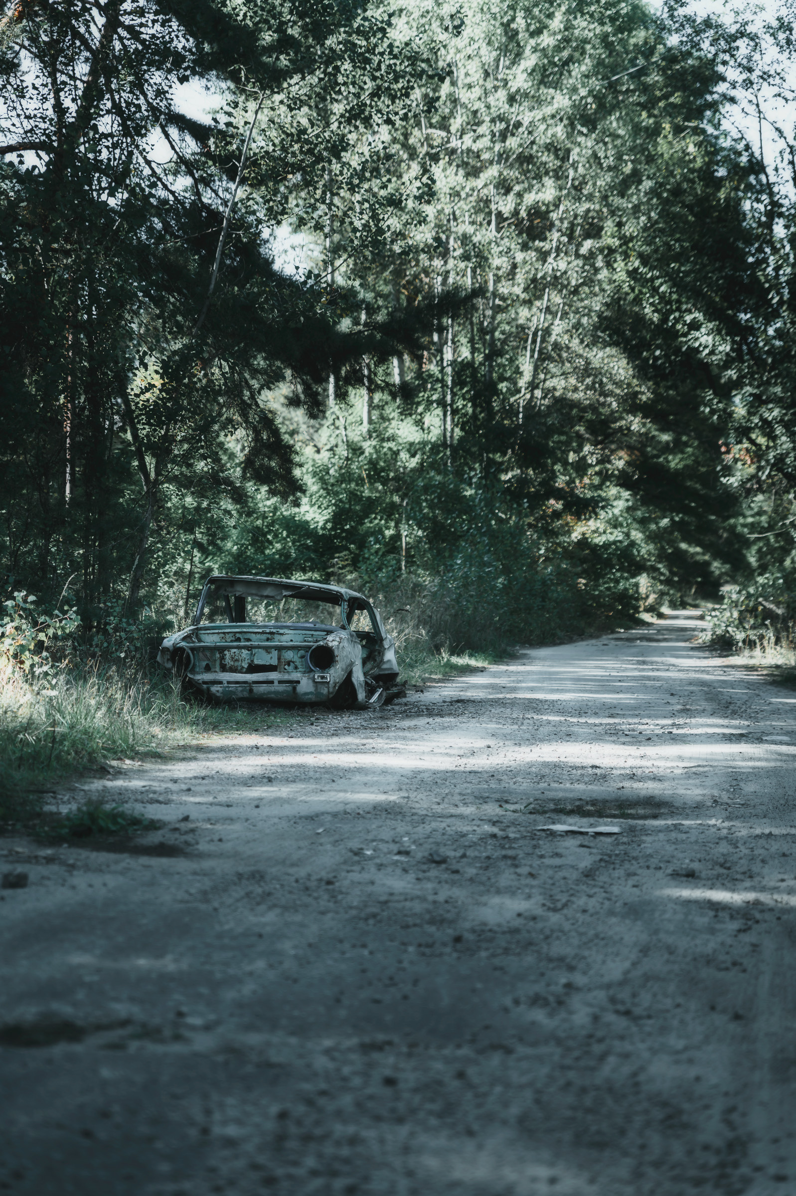 Abandoned vehicle on an overgrown forest track
