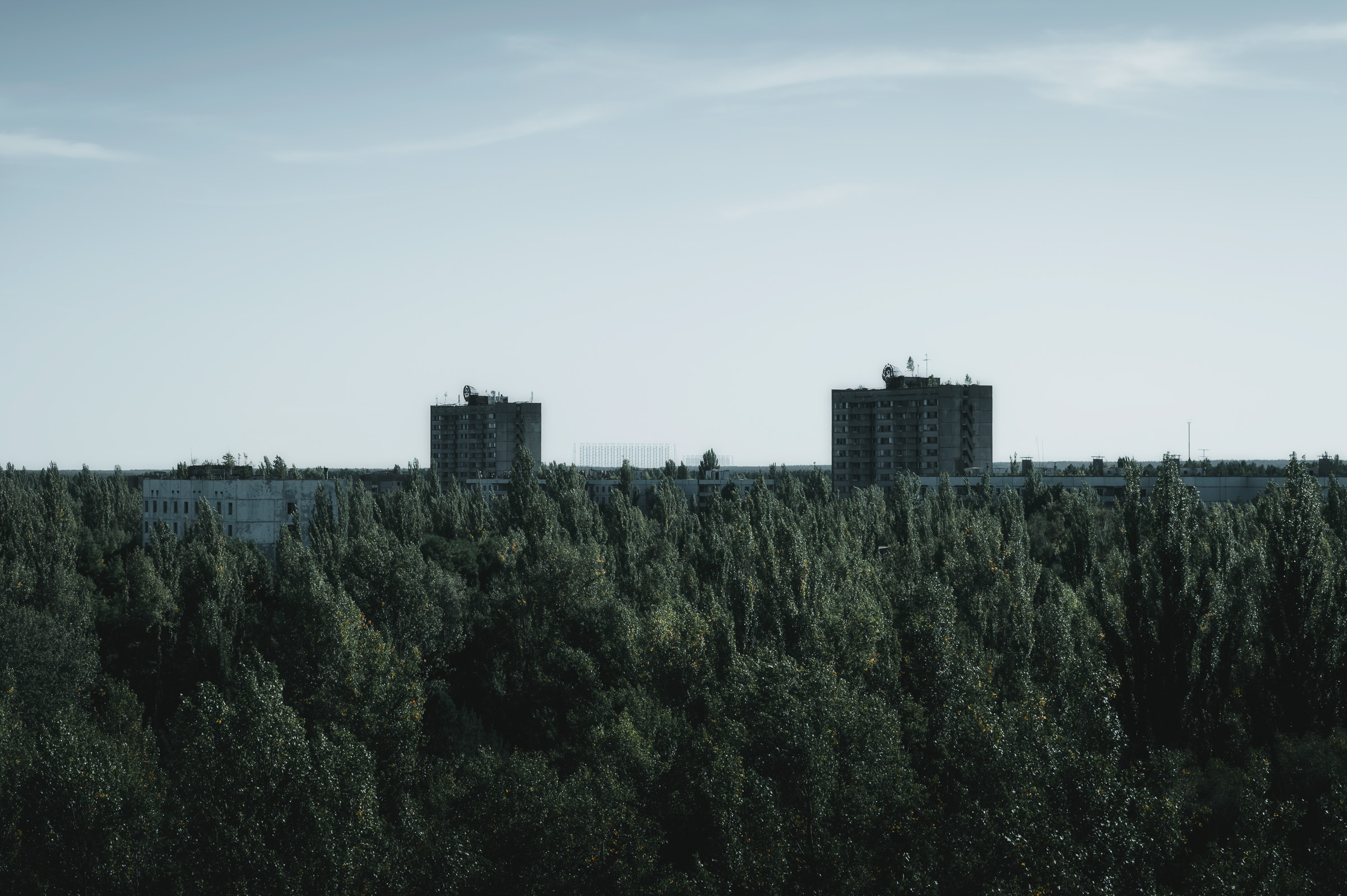 Pripyat apartment blocks rising above dense green forest