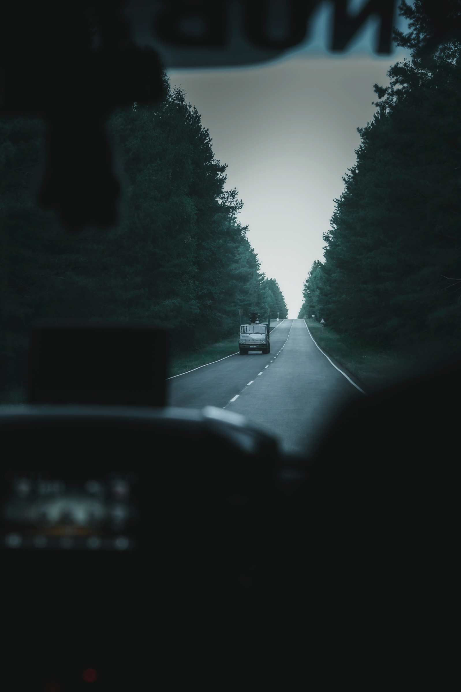 Tree-lined road through the Exclusion Zone seen from a vehicle