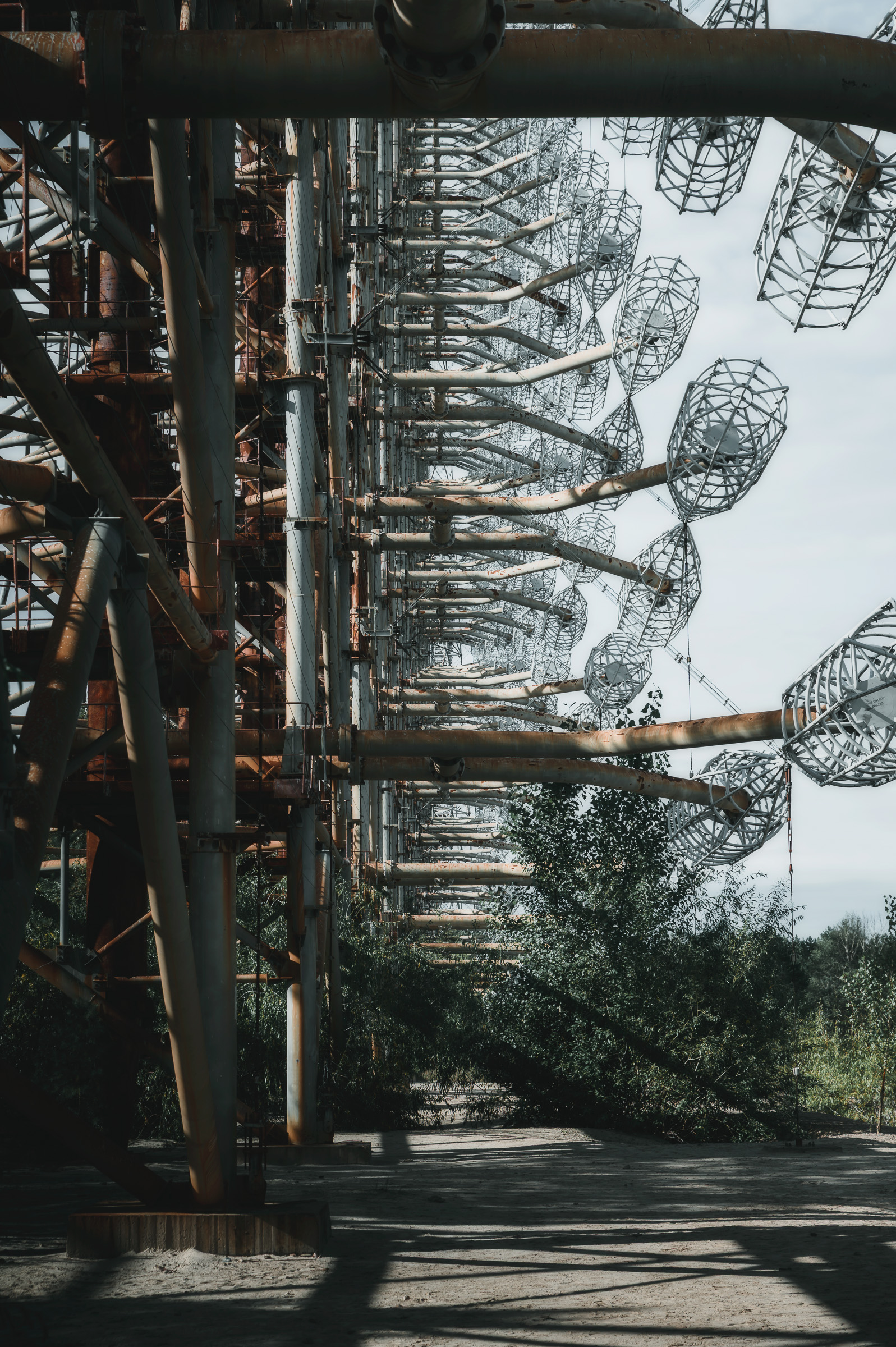 Steel framework of the Duga radar rising above the forest