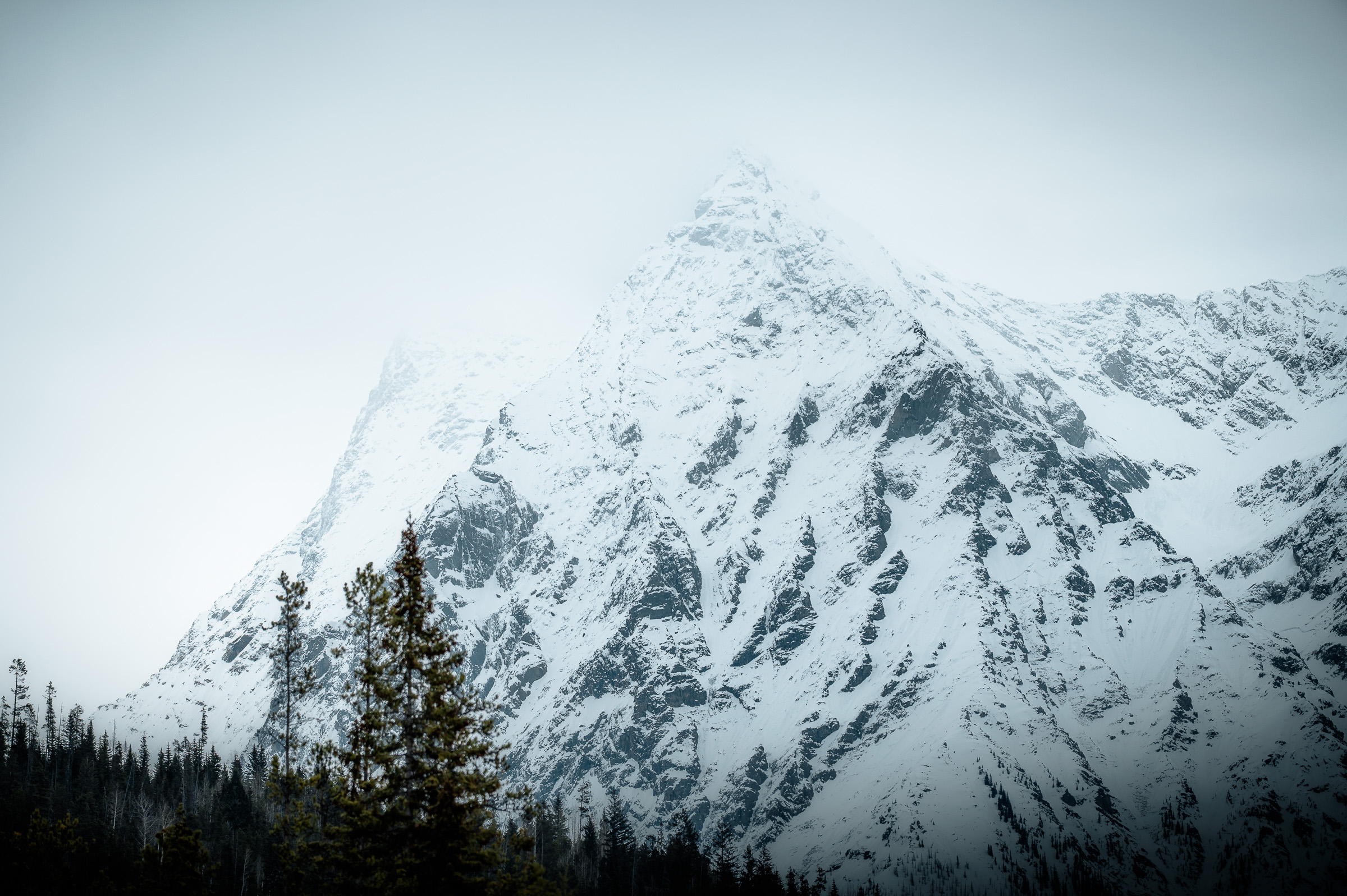 Jagged snow-covered mountain rising above evergreen trees