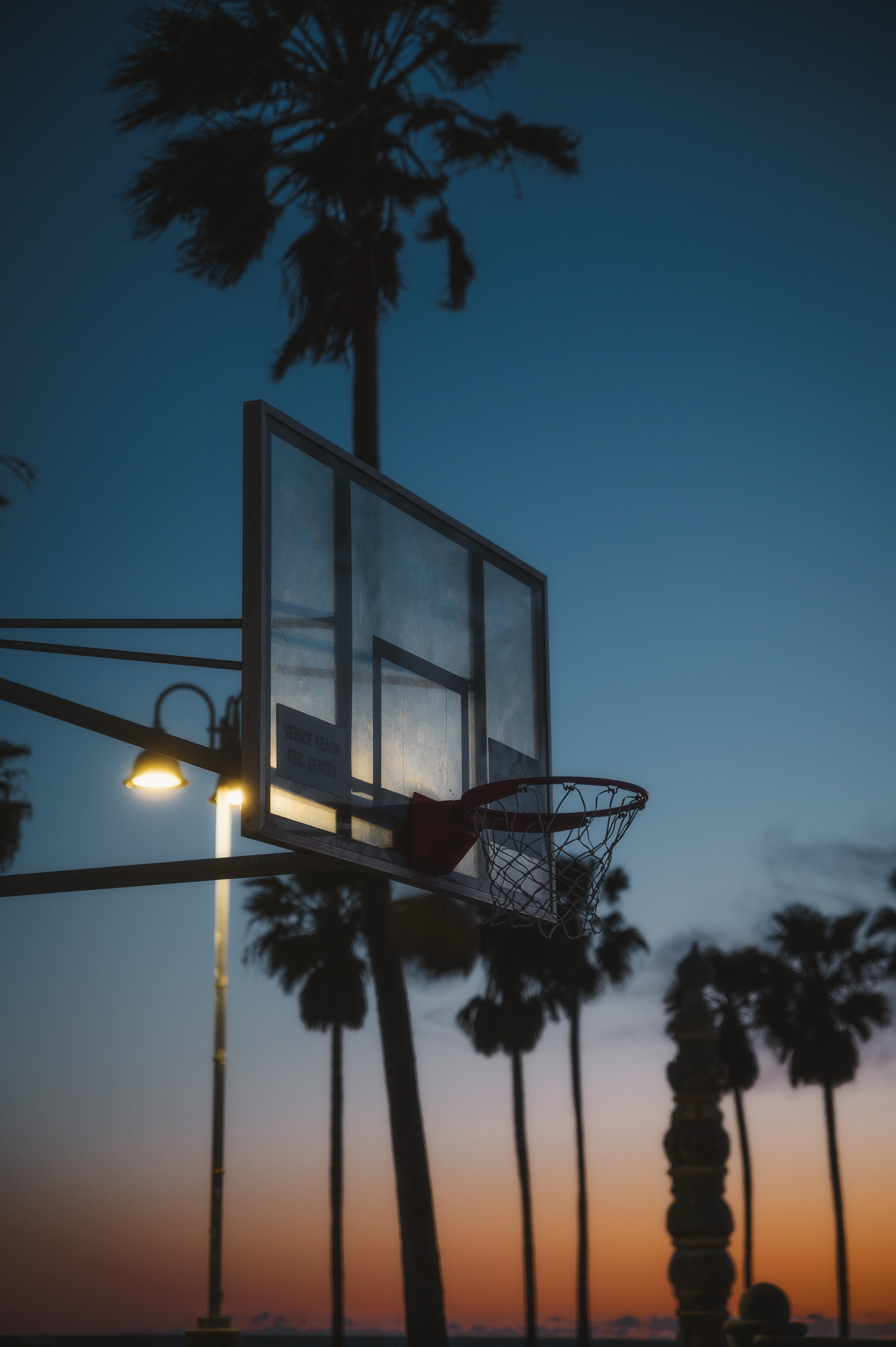 Basketball hoop and palm trees against the blue hour sky in Venice Beach