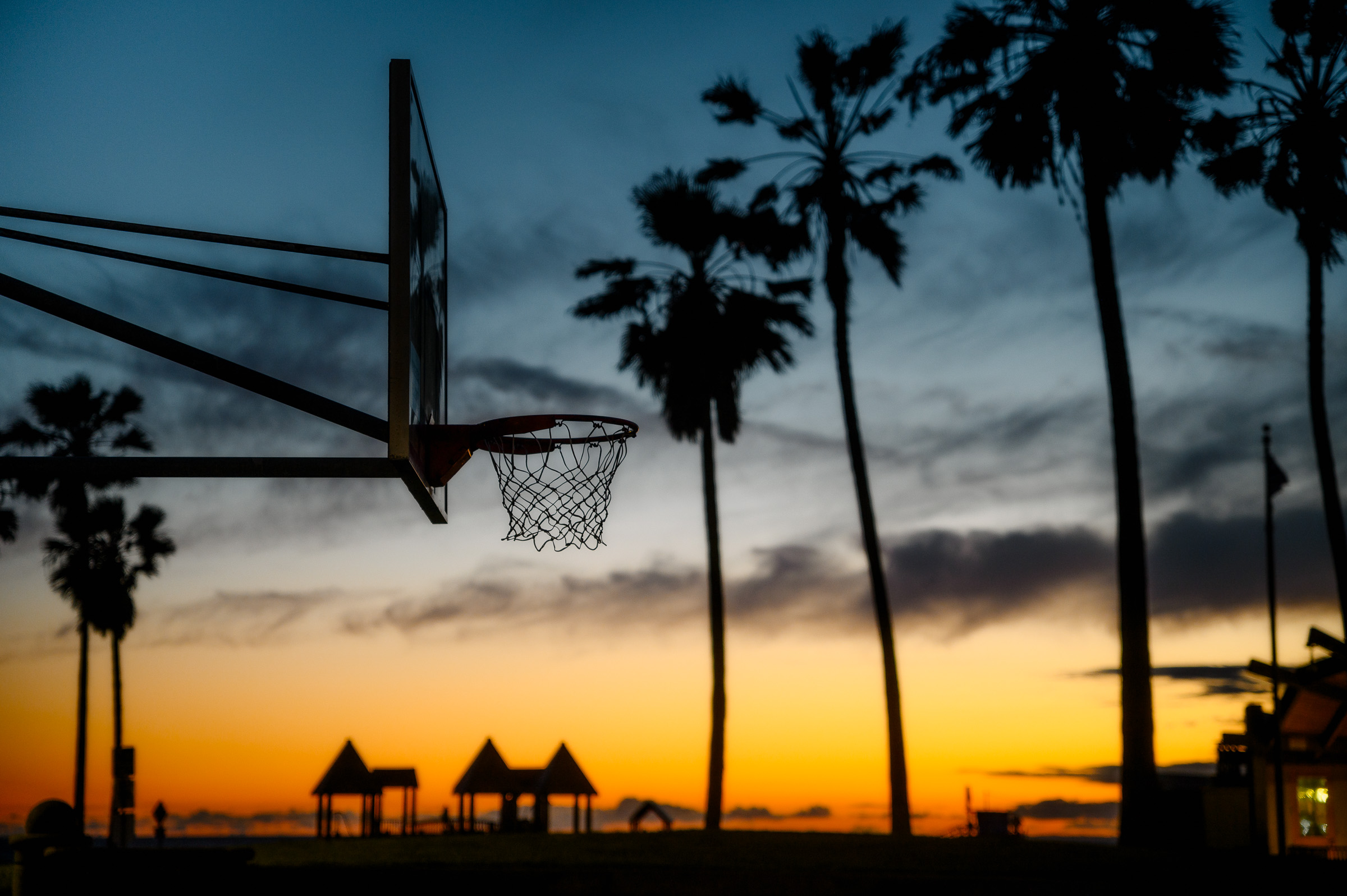 Basketball hoop and palm trees silhouetted at sunset in Venice Beach
