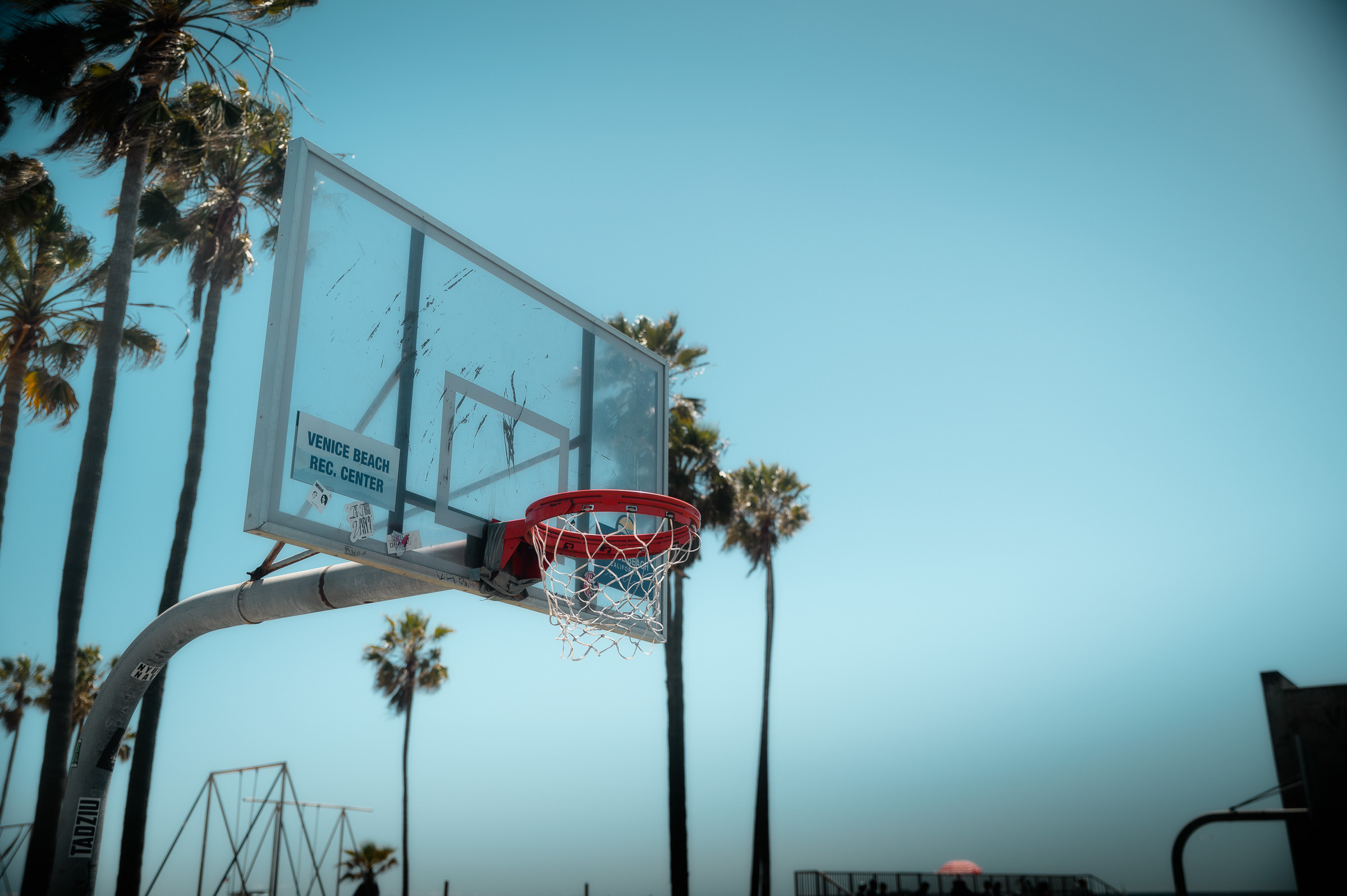 Outdoor basketball hoop framed by palm trees and a clear blue sky