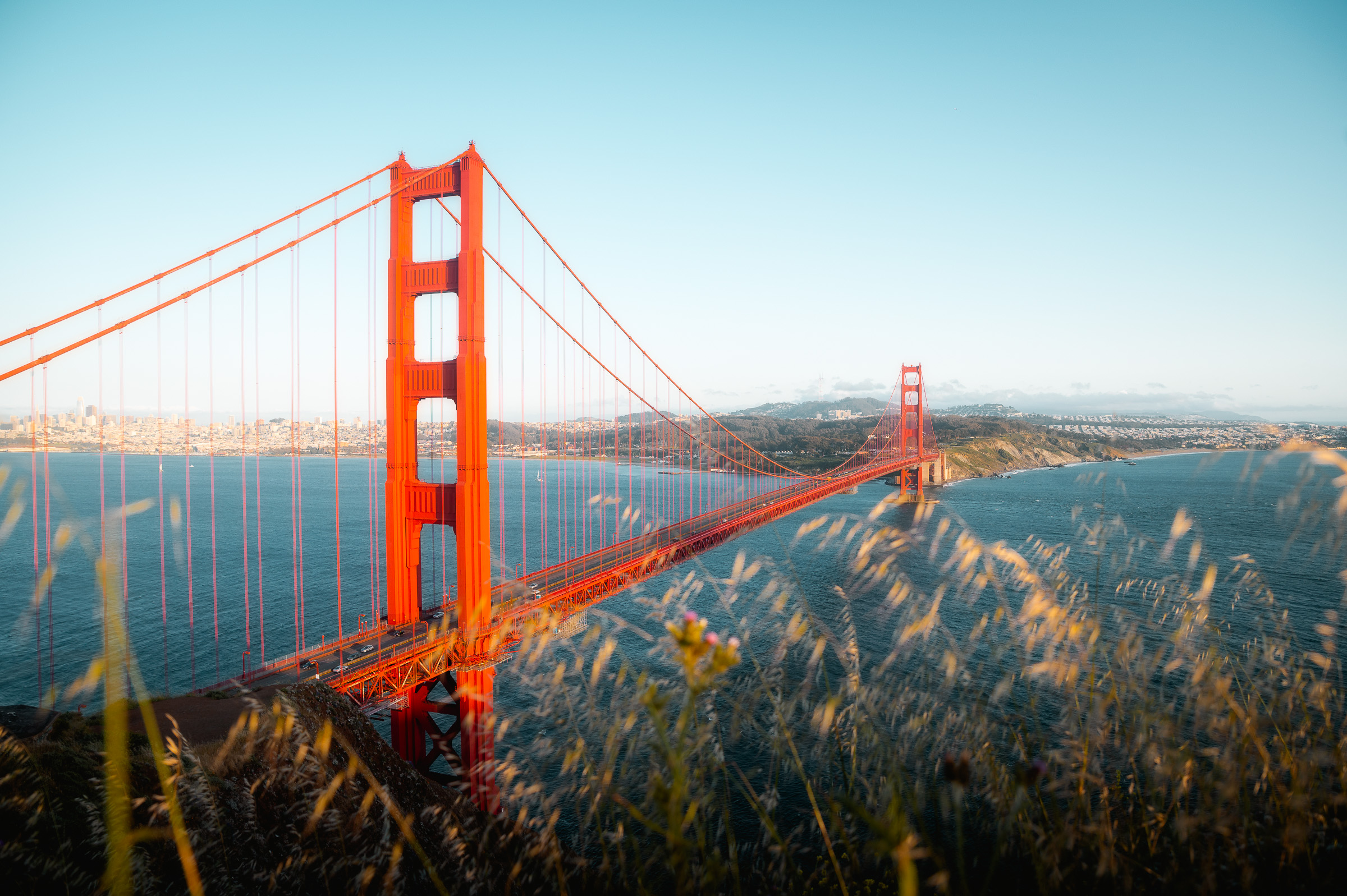 Golden Gate Bridge seen through sunlit grass from the Marin Headlands